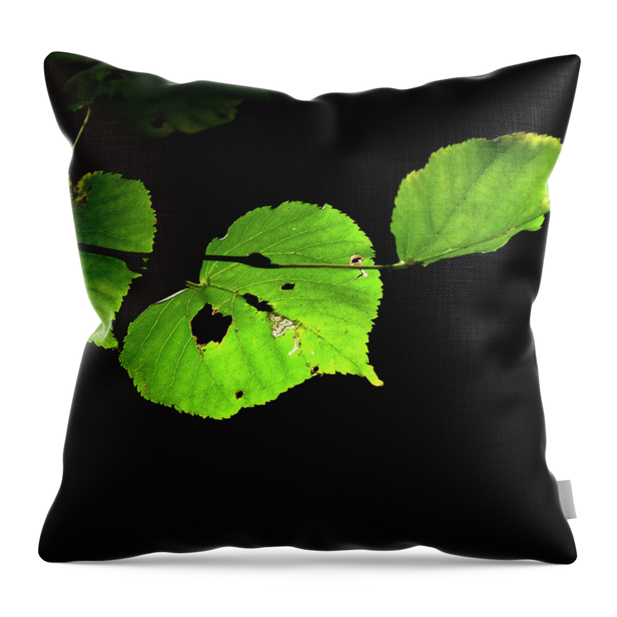 Sweden Throw Pillow featuring the pyrography Green leaves by Magnus Haellquist
