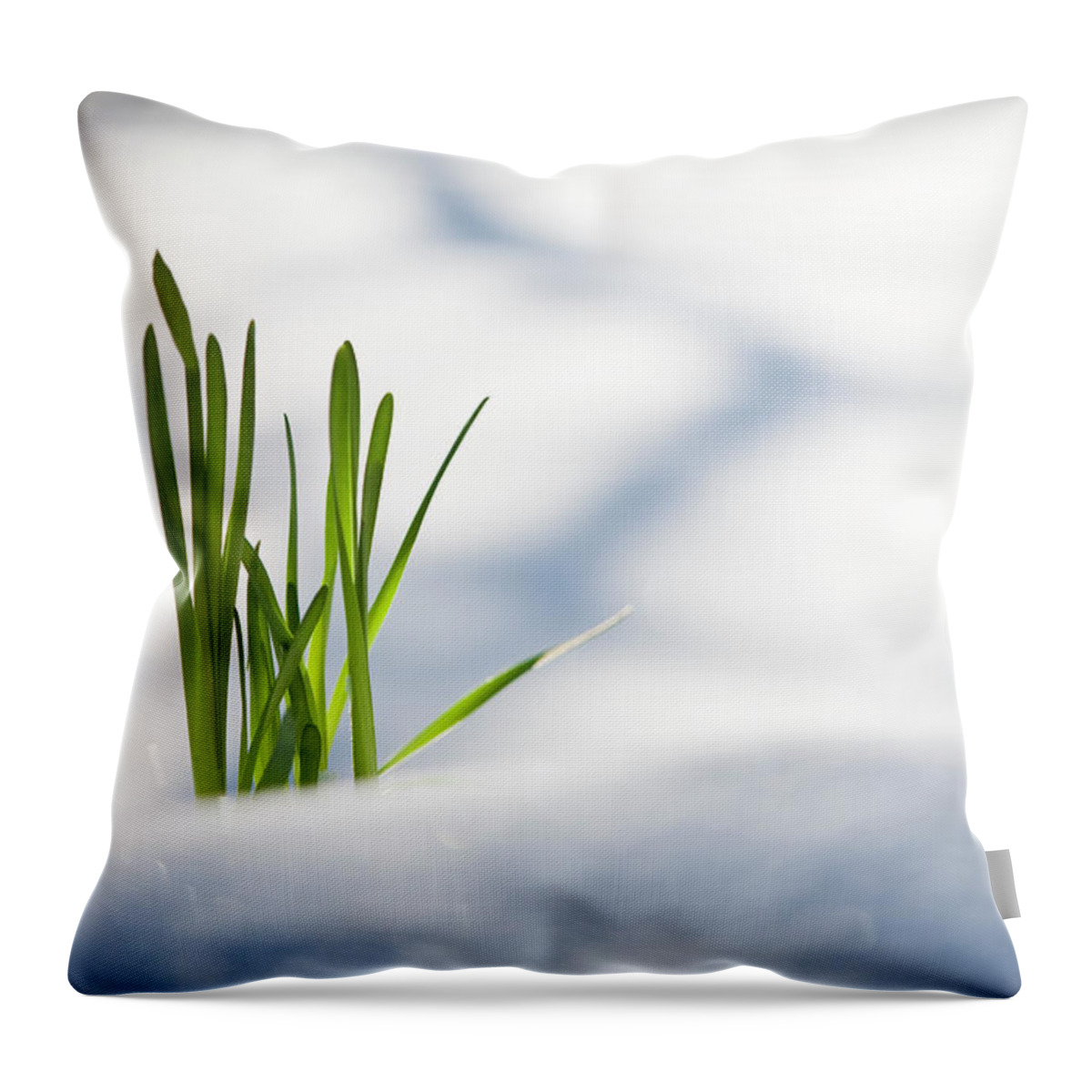 Snow Throw Pillow featuring the photograph Green Plant Pushing Up Through Snow by Jake Wyman