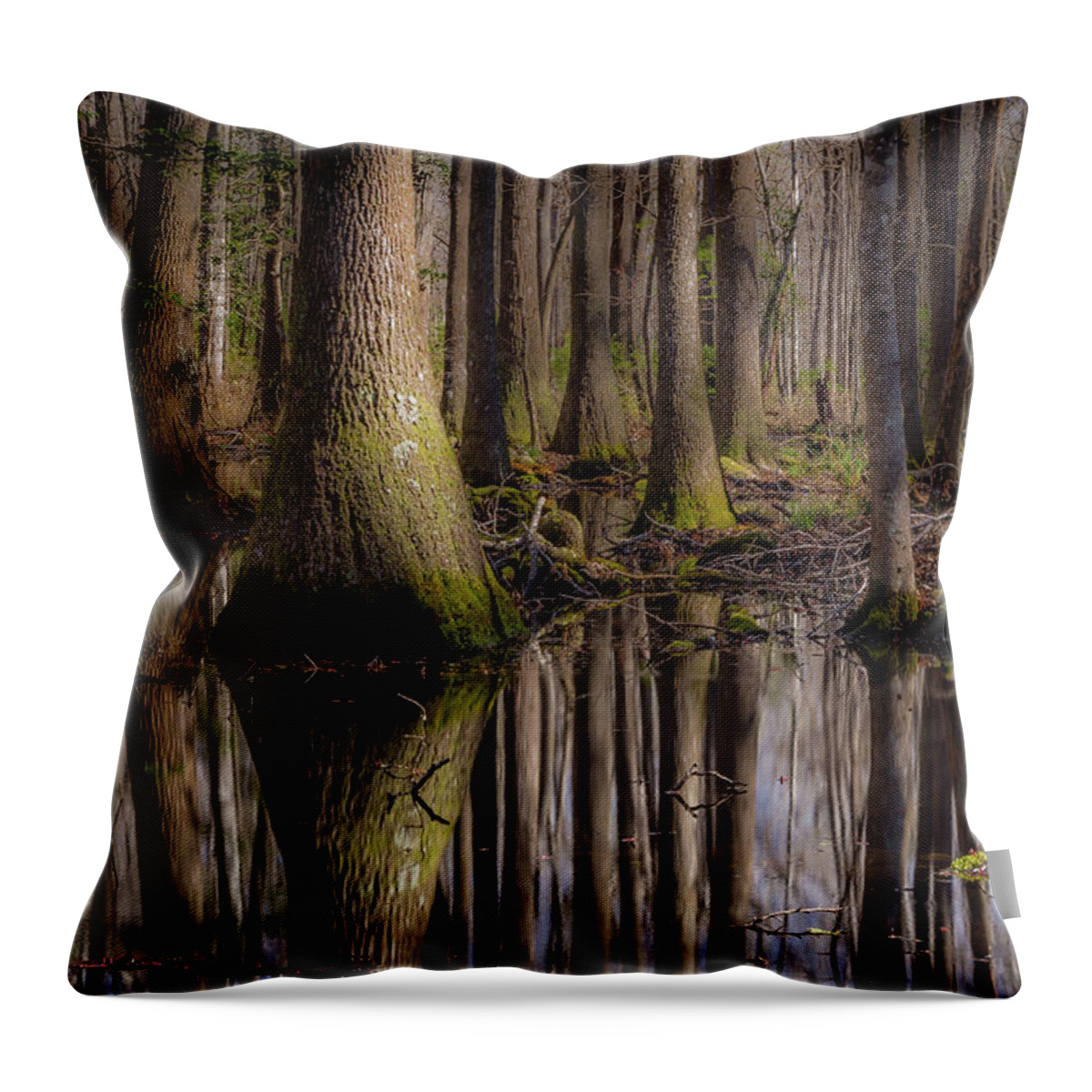 Art Throw Pillow featuring the photograph Green Pond by Gary Migues