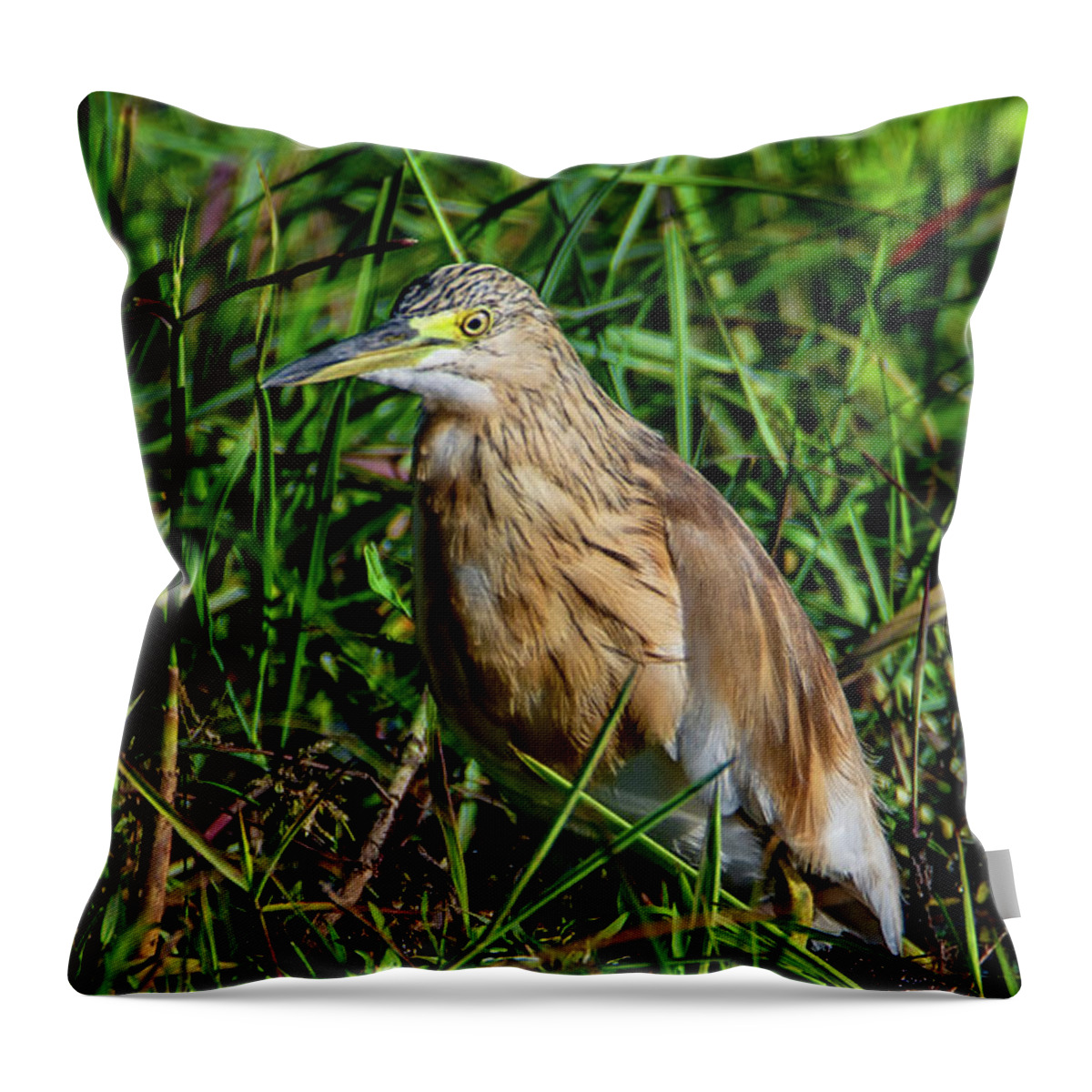  Throw Pillow featuring the photograph Green Sandpiper by Marcy Wielfaert