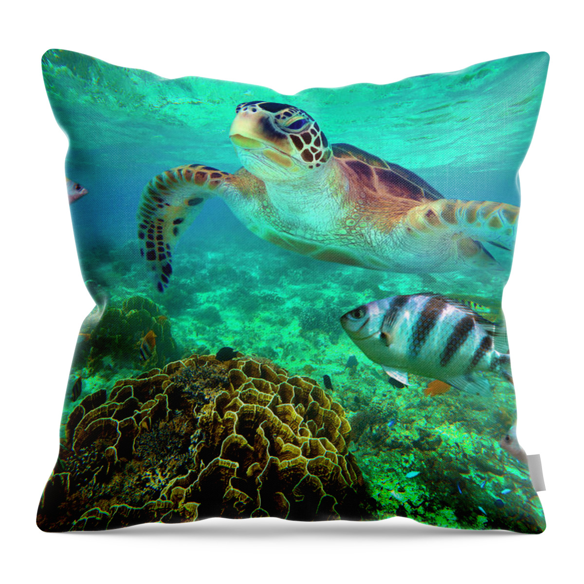 00586422 Throw Pillow featuring the photograph Green Sea Turtle And Sergeant Major Damselfish Group, Negros Oriental, Philippines by Tim Fitzharris