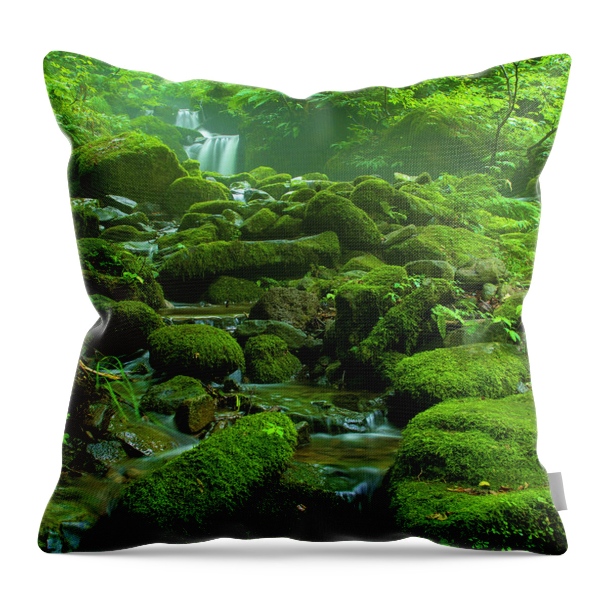 Scenics Throw Pillow featuring the photograph Green Valey by By Rodrigo Herweg