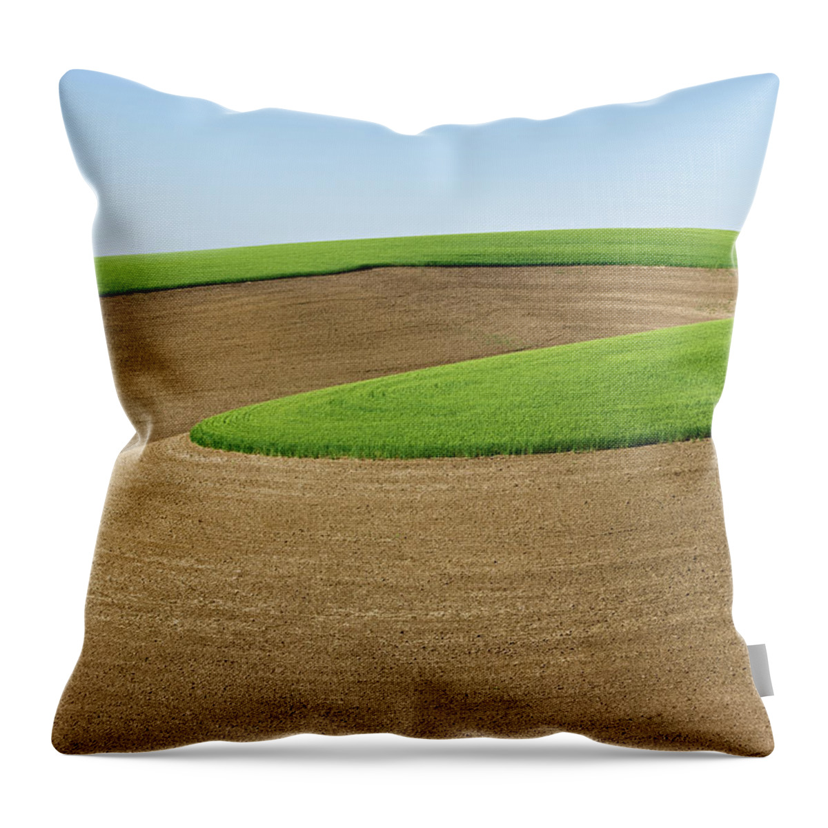 Curve Throw Pillow featuring the photograph Green Wheat Atop Contoured Fields by Donald E. Hall