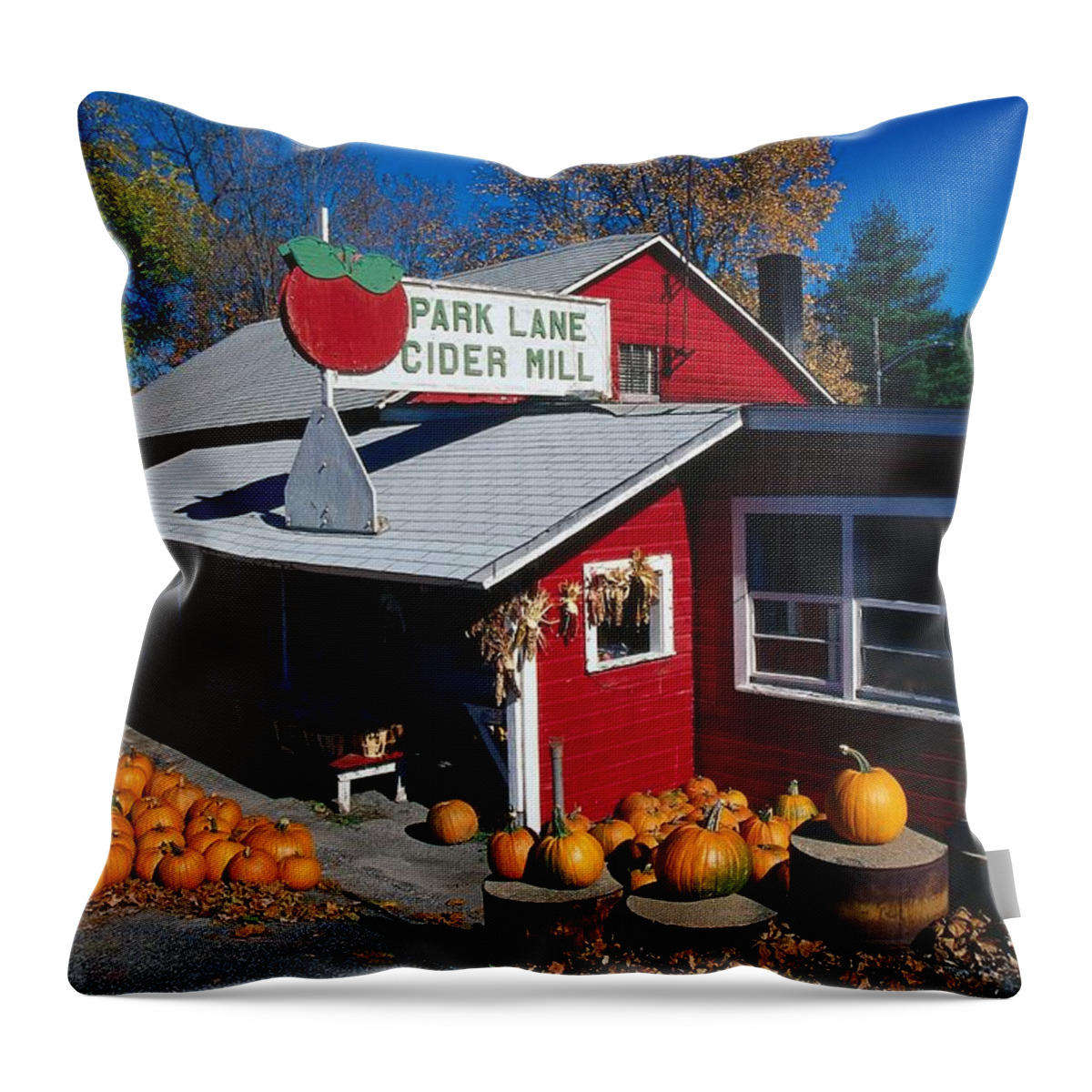 Estock Throw Pillow featuring the digital art Greengrocery, Pumpkins, Ct by Gunter Grafenhain