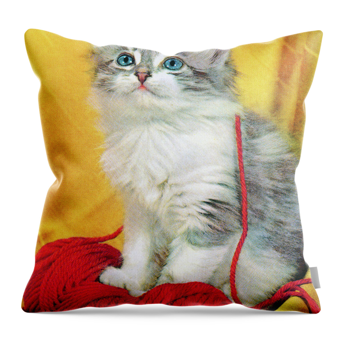 Animal Throw Pillow featuring the drawing Grey Kitten With Yarn by CSA Images