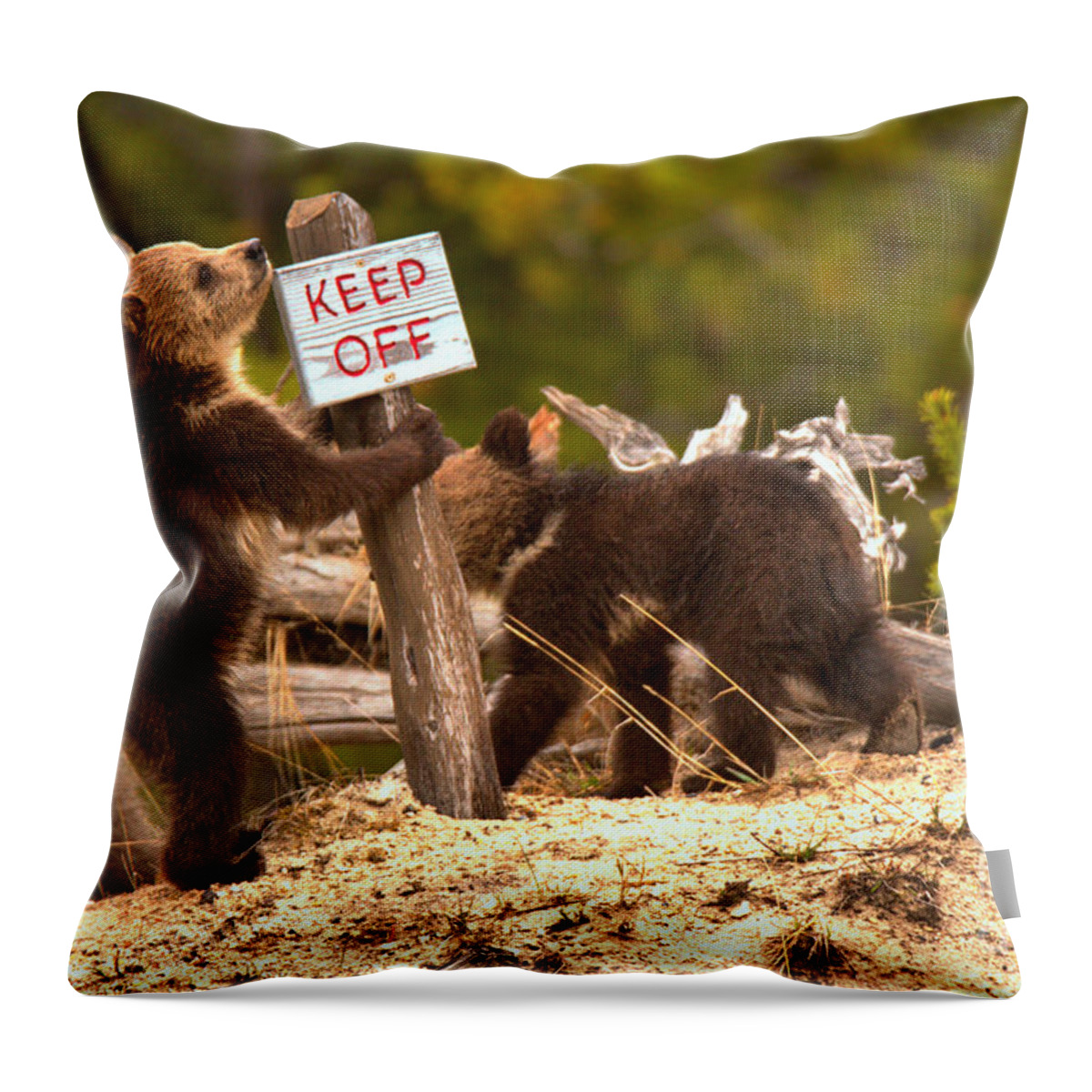 Grizly Bear Throw Pillow featuring the photograph Grizzly Cubs At Roaring Mountains by Adam Jewell