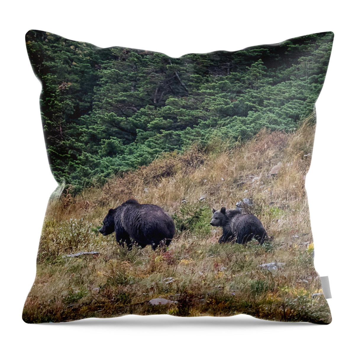 Bear Throw Pillow featuring the photograph Grizzly Mountain by Gary Migues