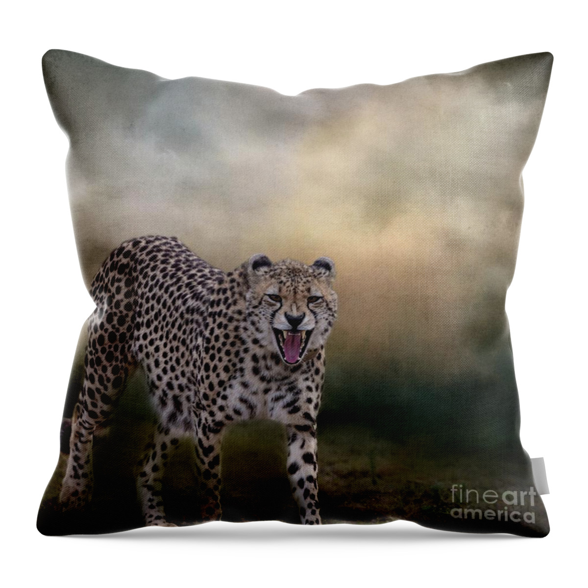 Cheetah Throw Pillow featuring the photograph Grumpy Morning by Eva Lechner