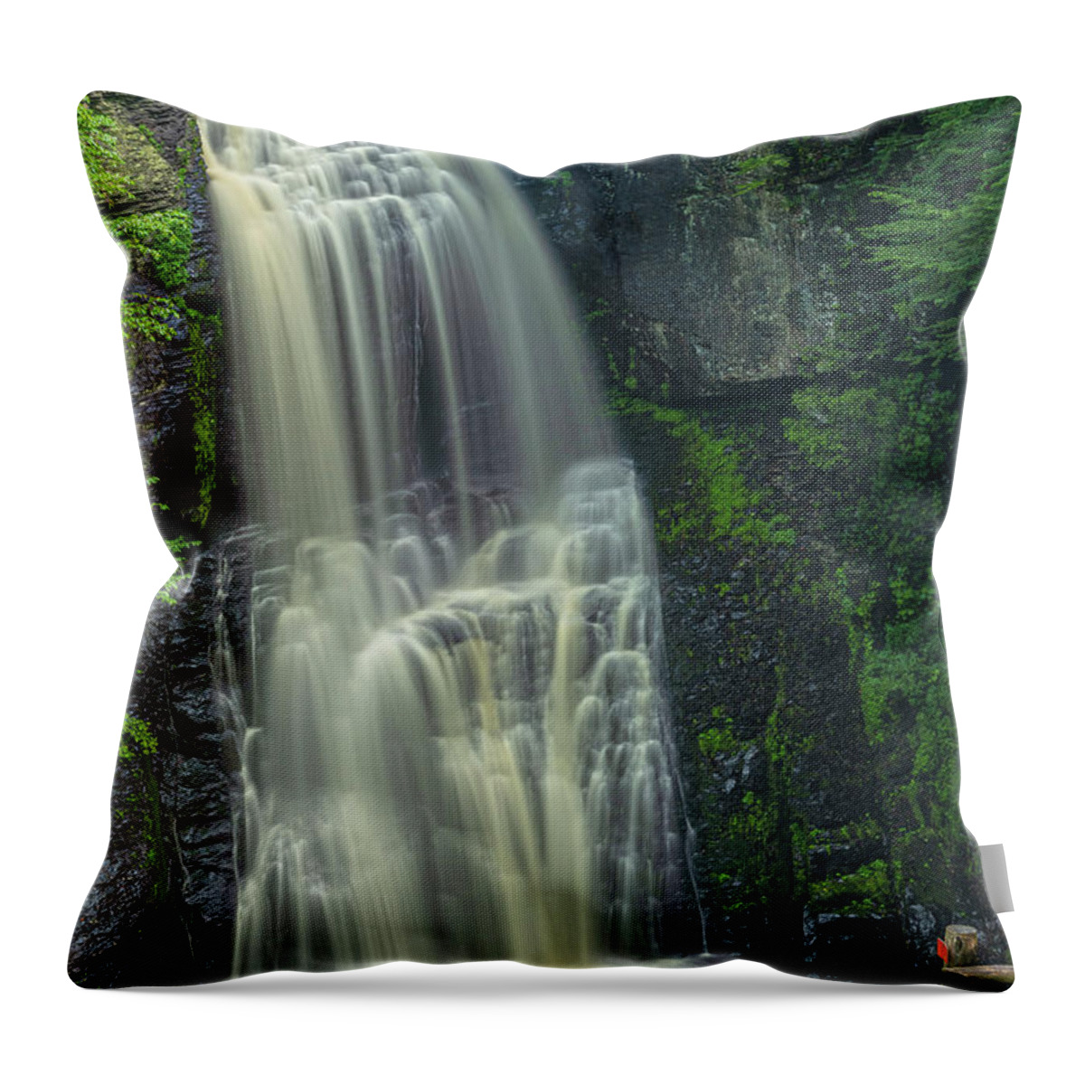 Waterfalls Throw Pillow featuring the photograph Guarded View by Angelo Marcialis