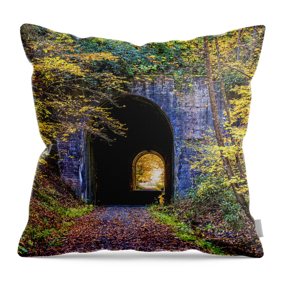 Tunnel Throw Pillow featuring the photograph Guest River Gorge Tunnel by Dale R Carlson