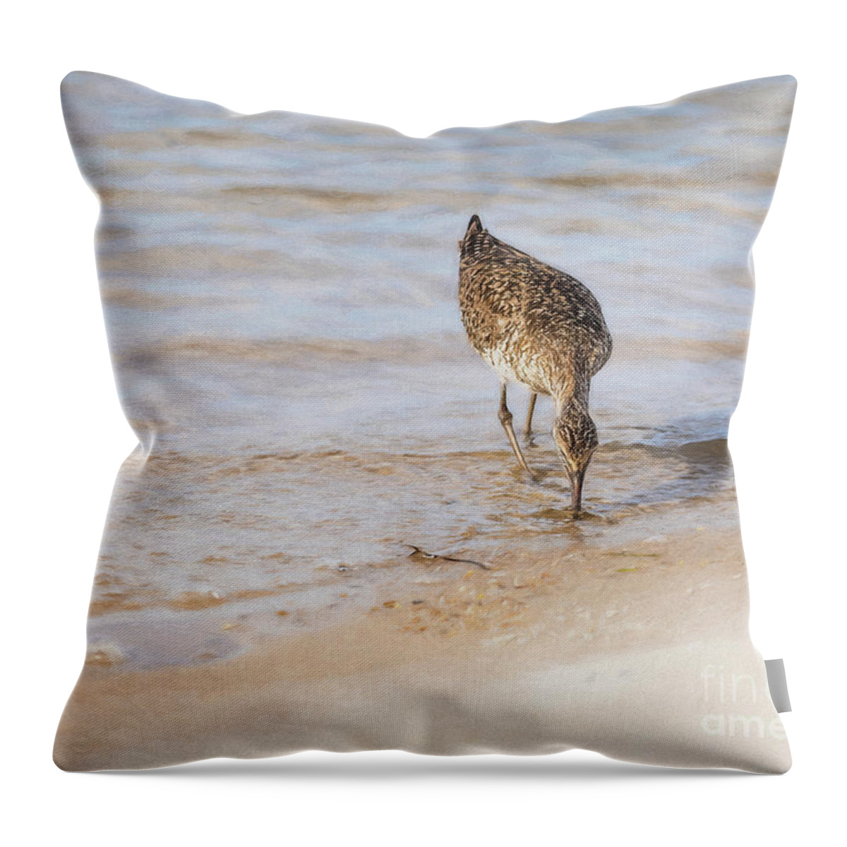 Gull Throw Pillow featuring the photograph Gull at Ocean's Edge - Painterly by Lorraine Cosgrove