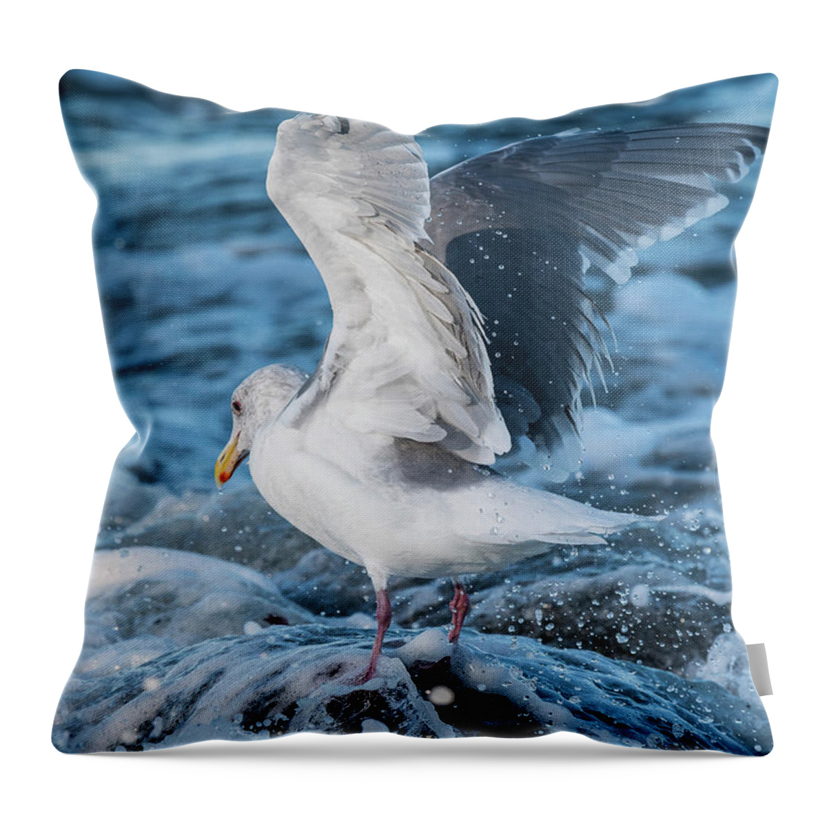 Afternoon Throw Pillow featuring the photograph Gull in the Surf by Robert Potts