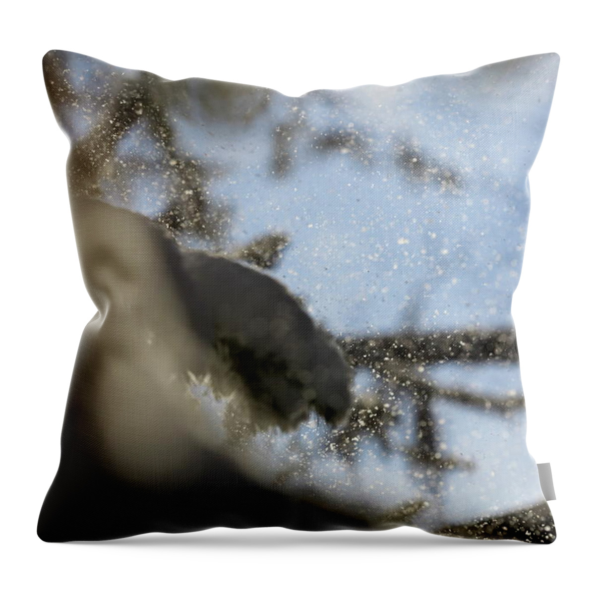 Abstract Throw Pillow featuring the photograph Gusts of snow are being blown from spruce trees by Intensivelight