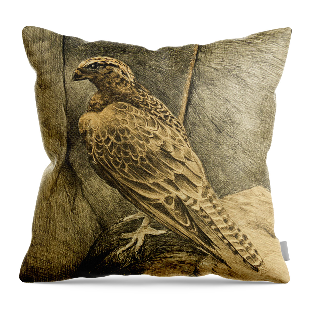 Gyrfalcon Throw Pillow featuring the drawing Gyrfalcon by Hans Egil Saele