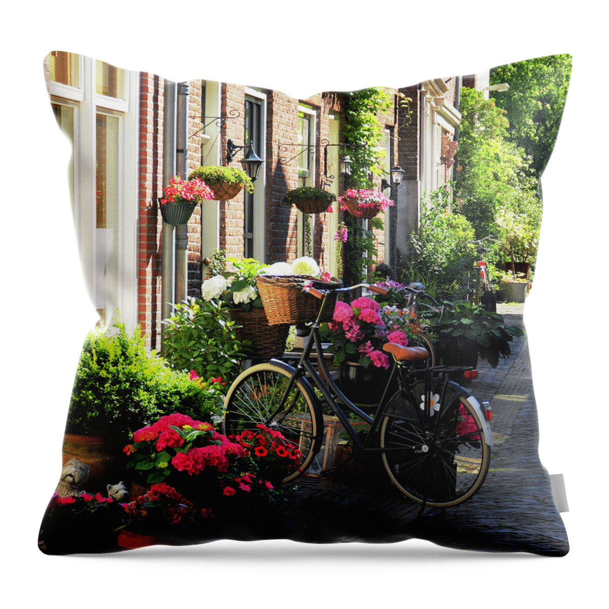North Holland Throw Pillow featuring the photograph Haarlem by Photo By Jan Elemans