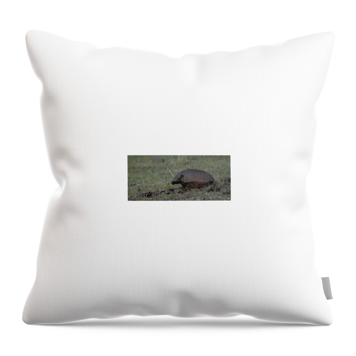 Hairy Throw Pillow featuring the photograph Hairy Armadillo by Patrick Nowotny