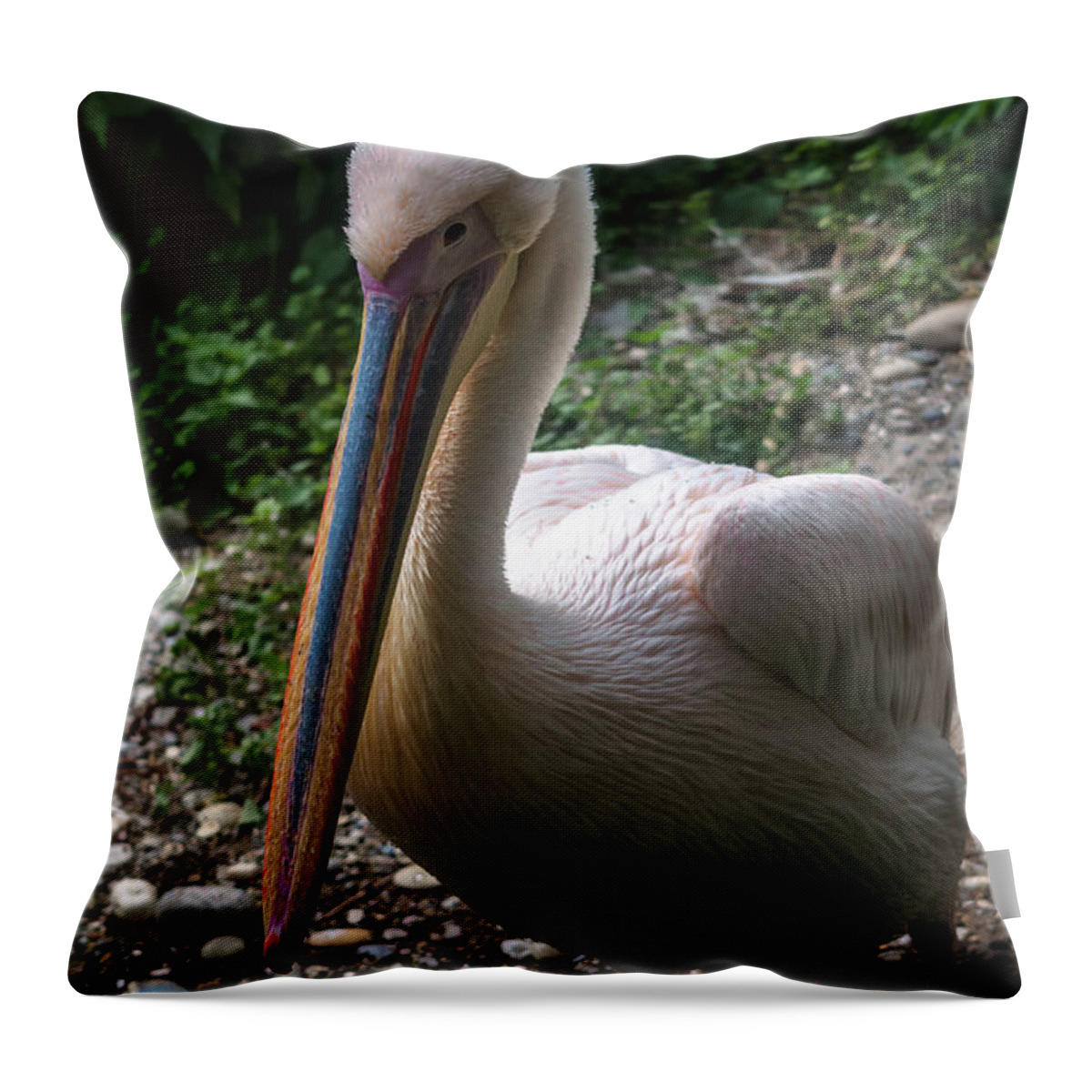 Michelle Meenawong Throw Pillow featuring the photograph Handsome Pelican by Michelle Meenawong