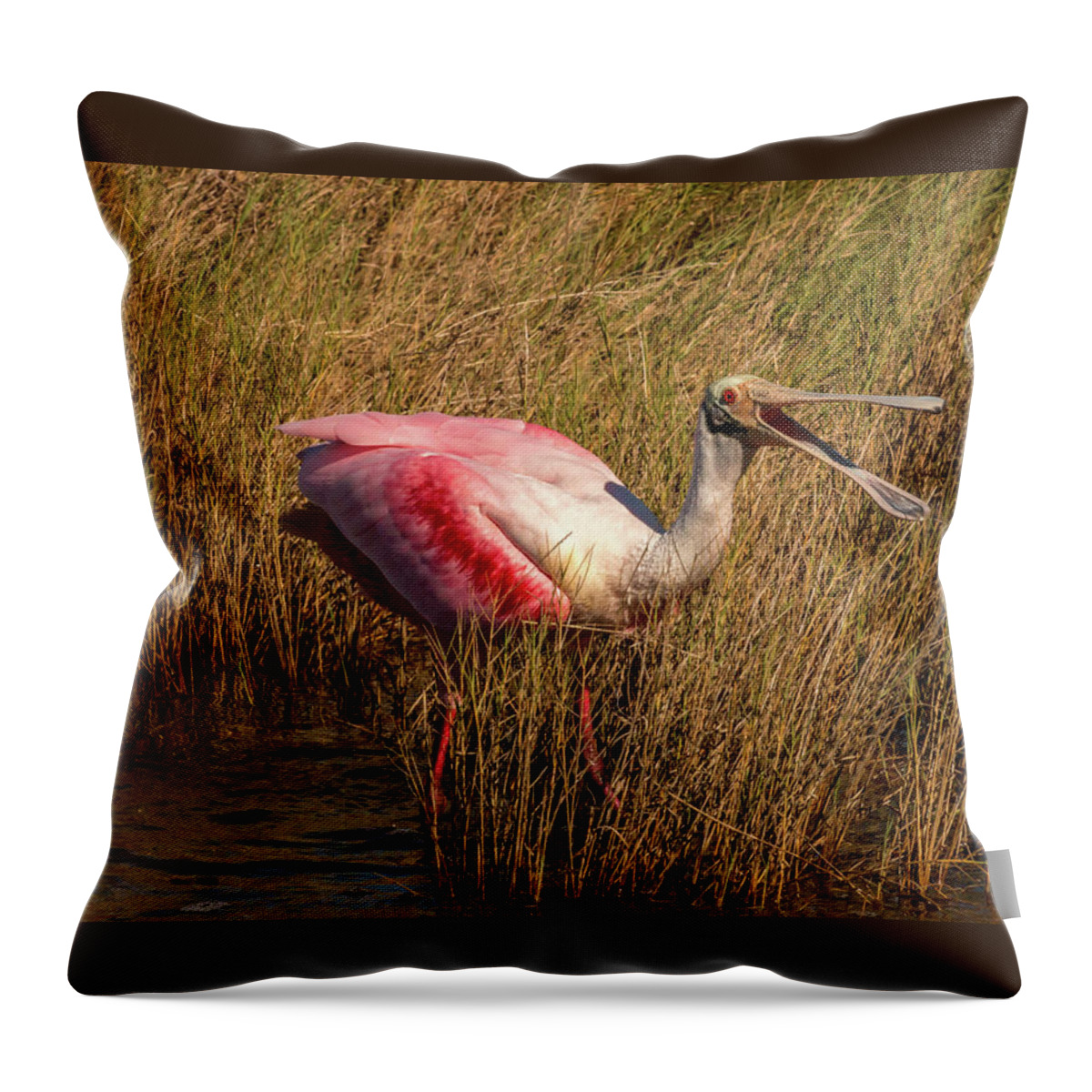 Spoonbill Throw Pillow featuring the photograph Happy Talk by Dorothy Cunningham