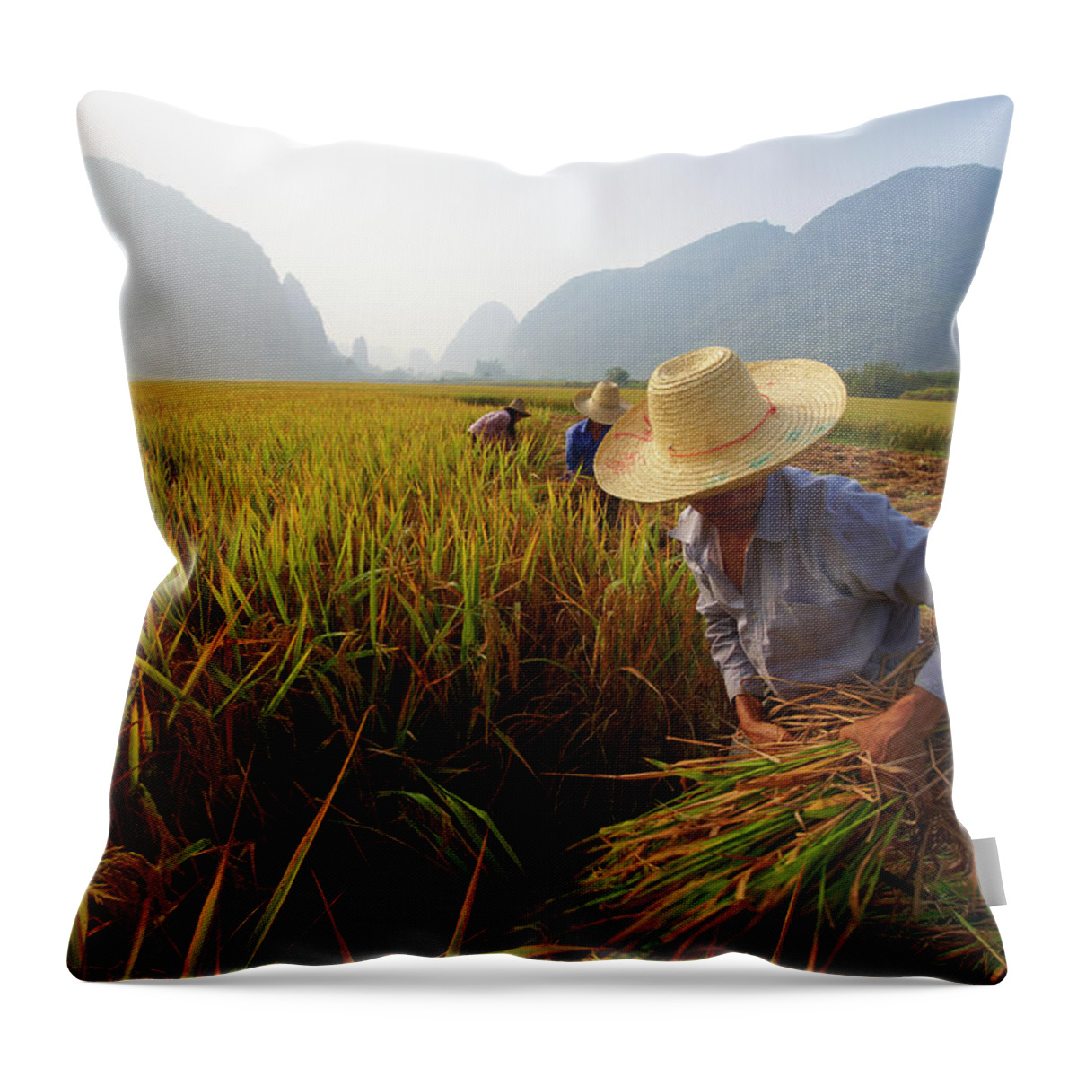 Working Throw Pillow featuring the photograph Harvest On The Rice Field by Tuul & Bruno Morandi