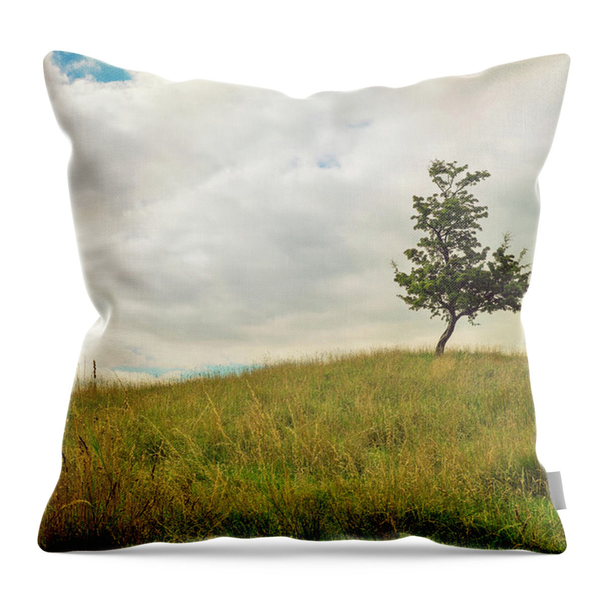 Dublin Throw Pillow featuring the photograph Hawthorn Tree On A Hill by Image By Catherine Macbride
