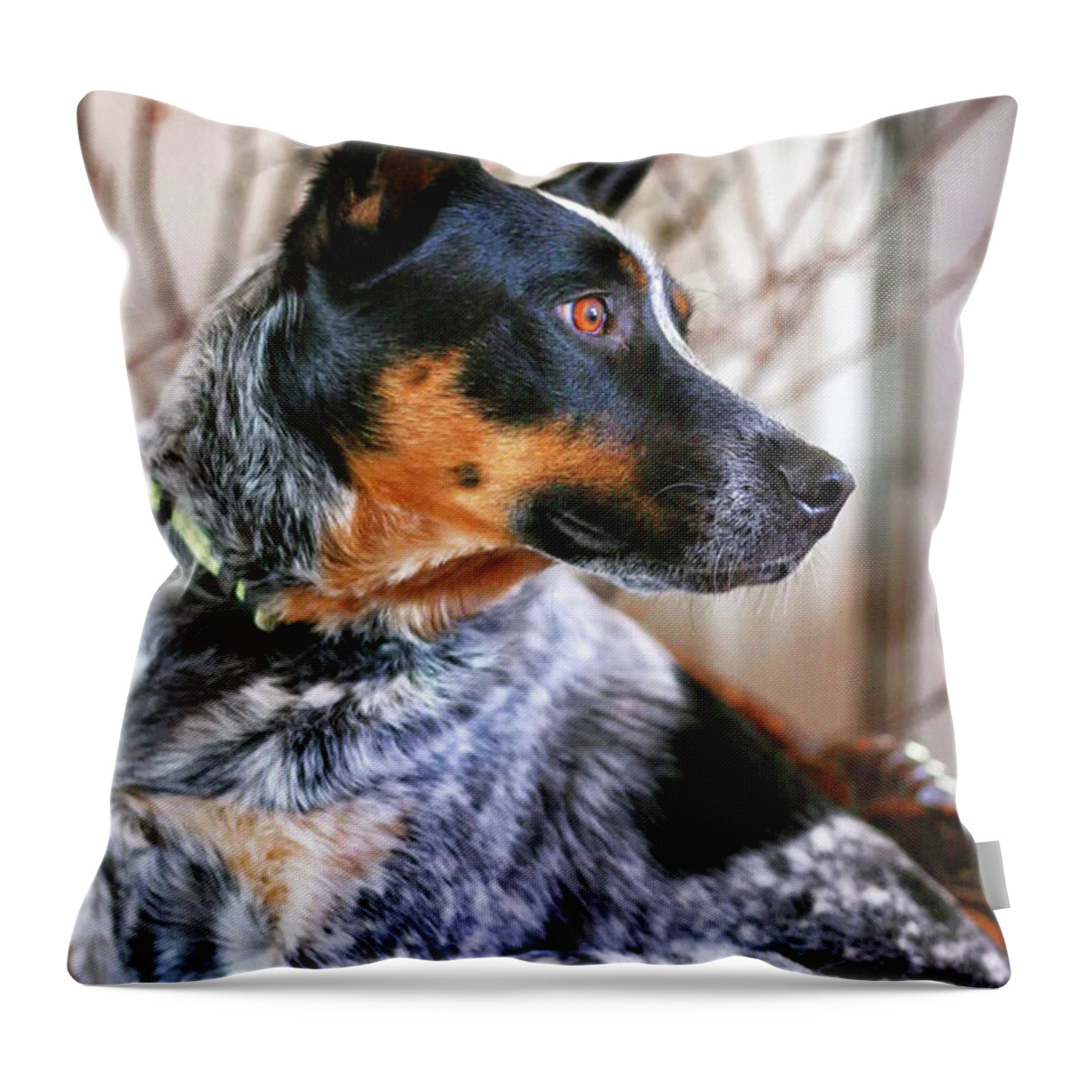 Dog Throw Pillow featuring the photograph Hearing the Cattle Call by Natural Abstract Photography