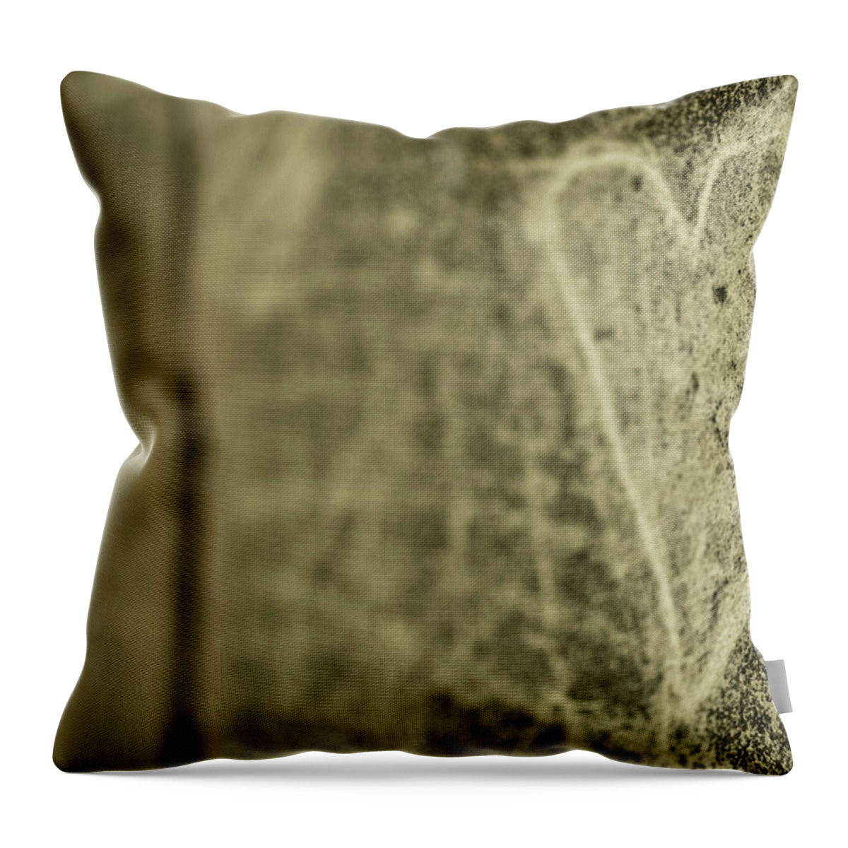 Engraving Throw Pillow featuring the photograph Heart Engraved On A Wall by G.g.bruno