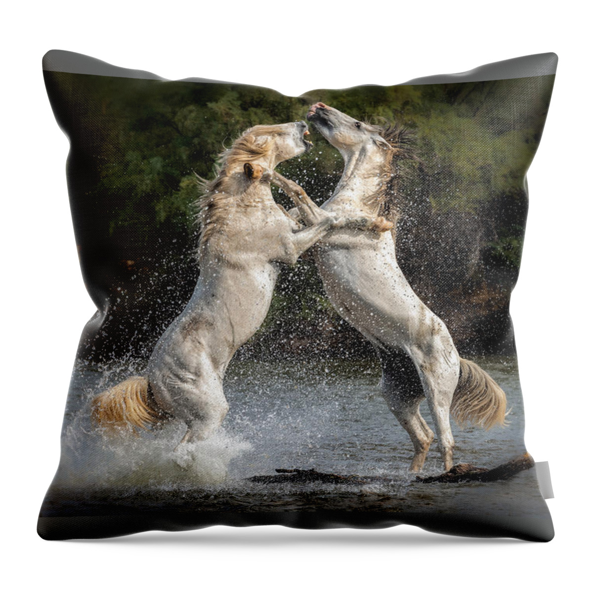 Equine Throw Pillow featuring the photograph Heated Discussion by Lisa Manifold