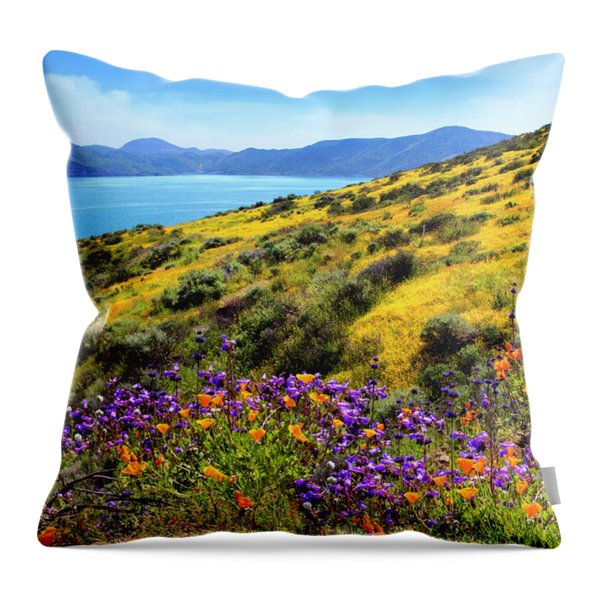 Superbloom Throw Pillow featuring the photograph Heaven Scent - Superbloom 2019 by Lynn Bauer