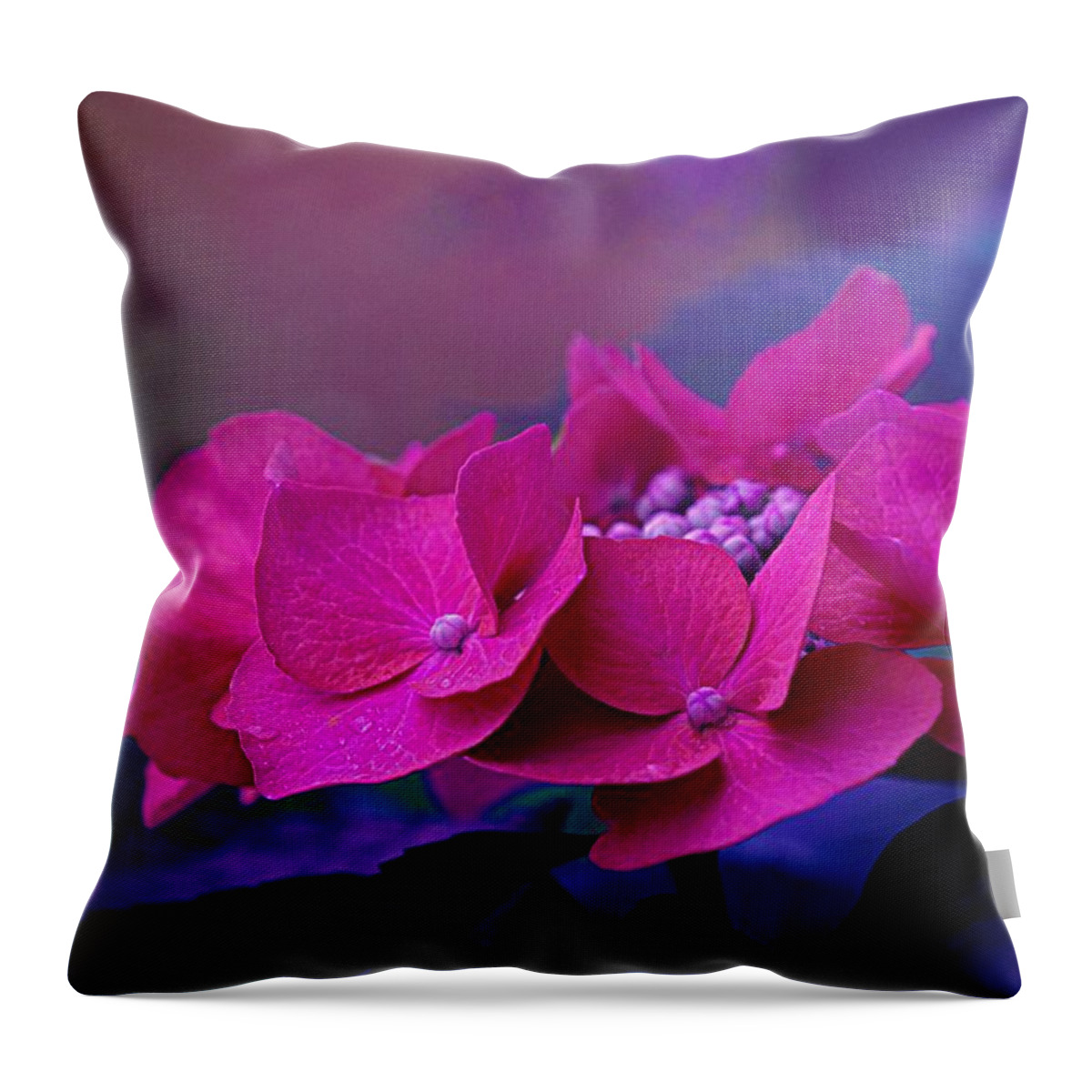 Art Throw Pillow featuring the photograph Heavenly Hydrangea by Joan Han