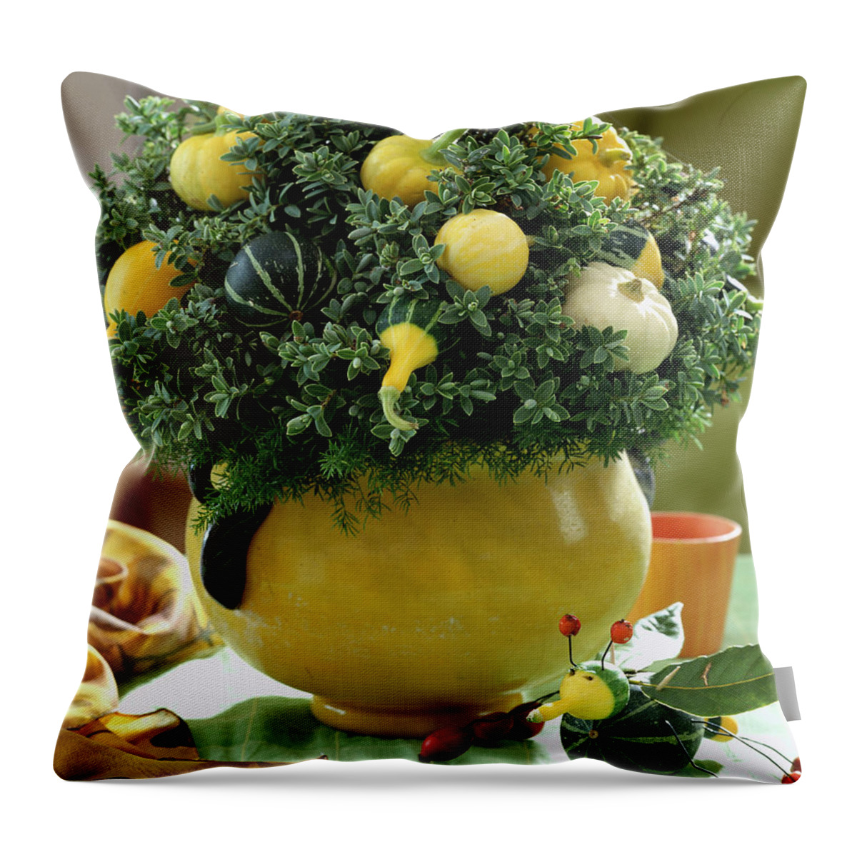 Ip_00272424 Throw Pillow featuring the photograph Hebe With Ornamental Gourds by Strauss, Friedrich