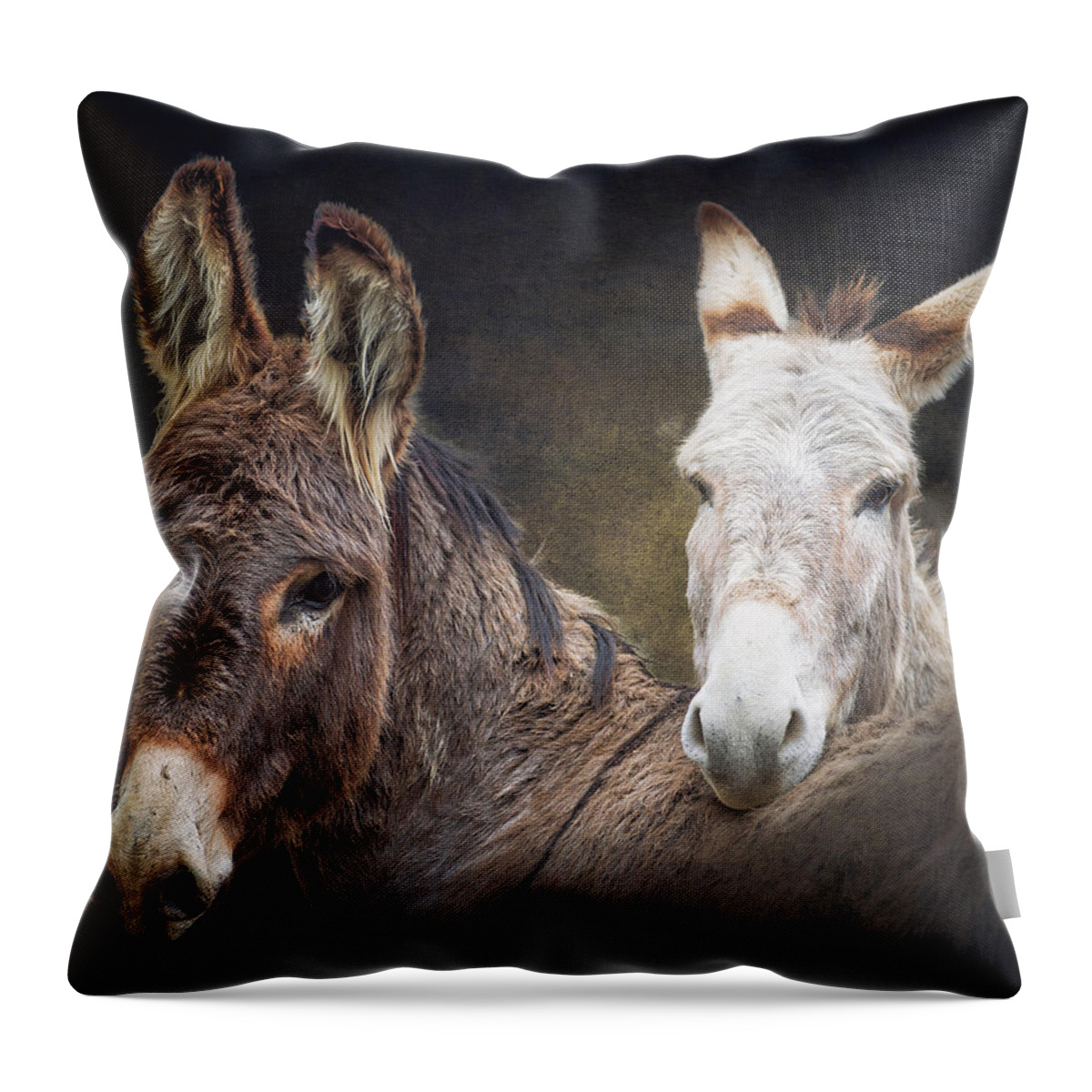 Burro Throw Pillow featuring the photograph Heckle and Jeckle by Ron McGinnis