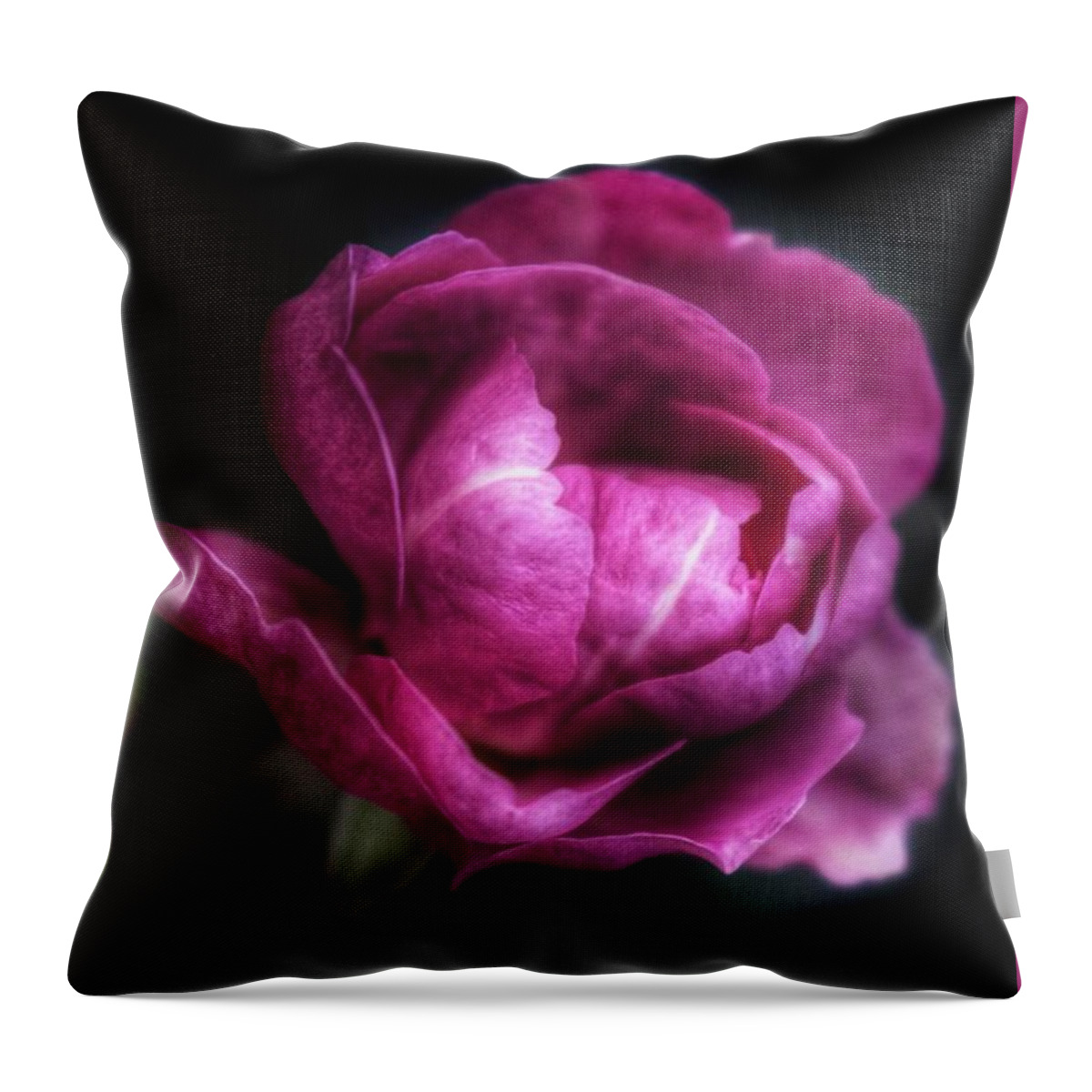 Florida Throw Pillow featuring the photograph Heirloom Treasure by Brenda Wilcox aka Wildeyed n Wicked