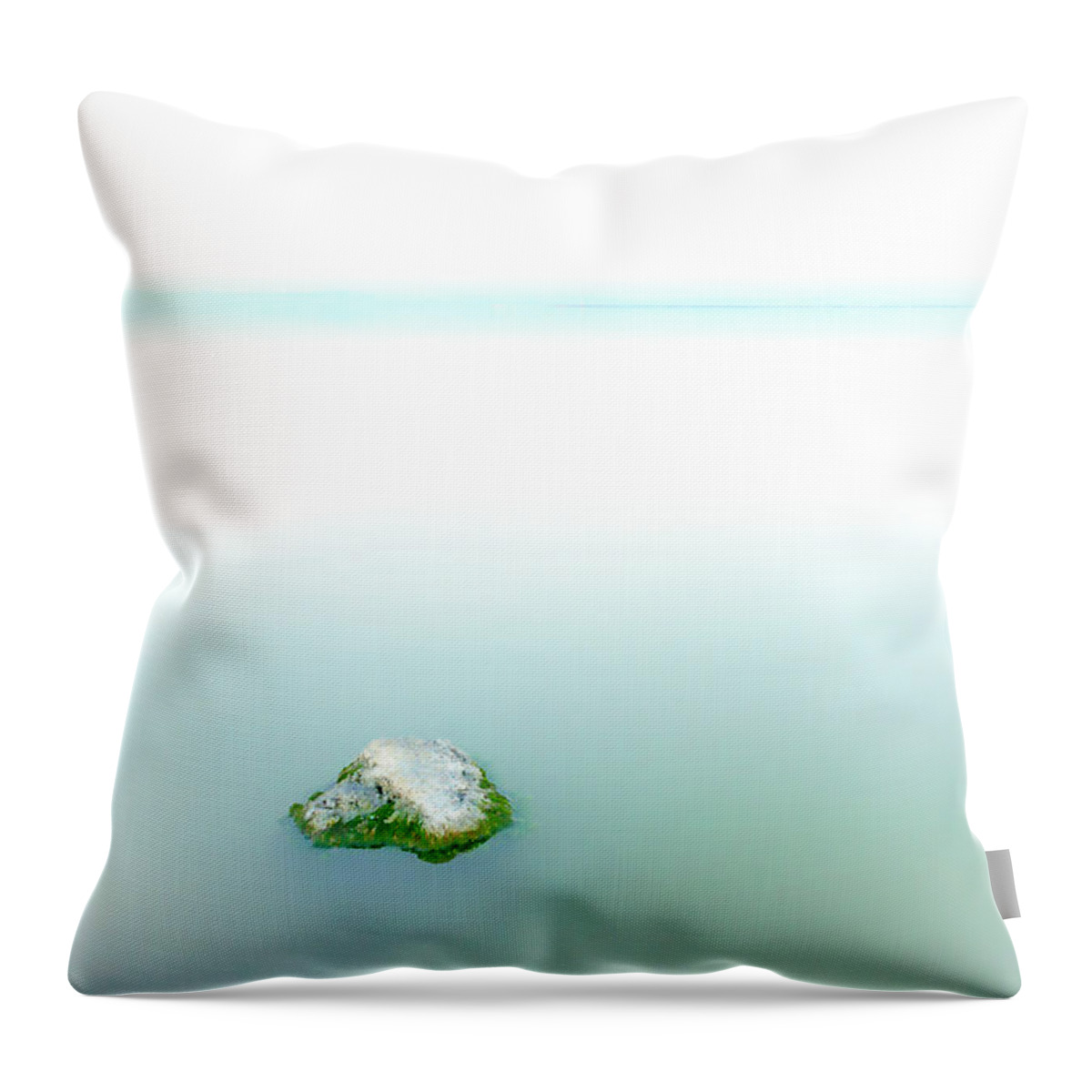 Animals Throw Pillow featuring the photograph Heiwa V by Peter Tellone