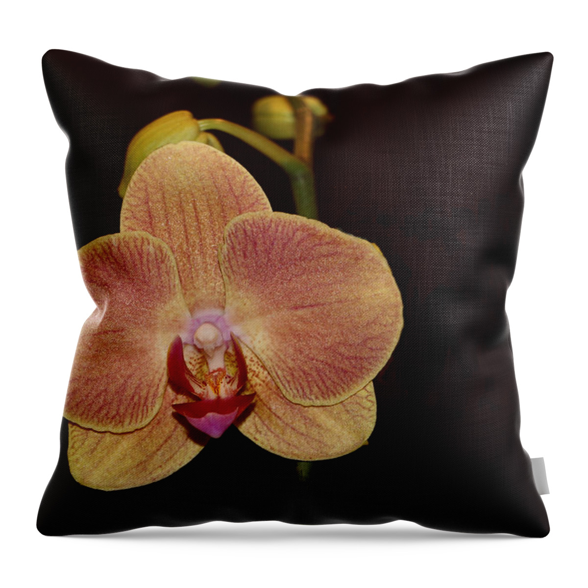 Flower Throw Pillow featuring the photograph Hello, Orchid by Lin Grosvenor