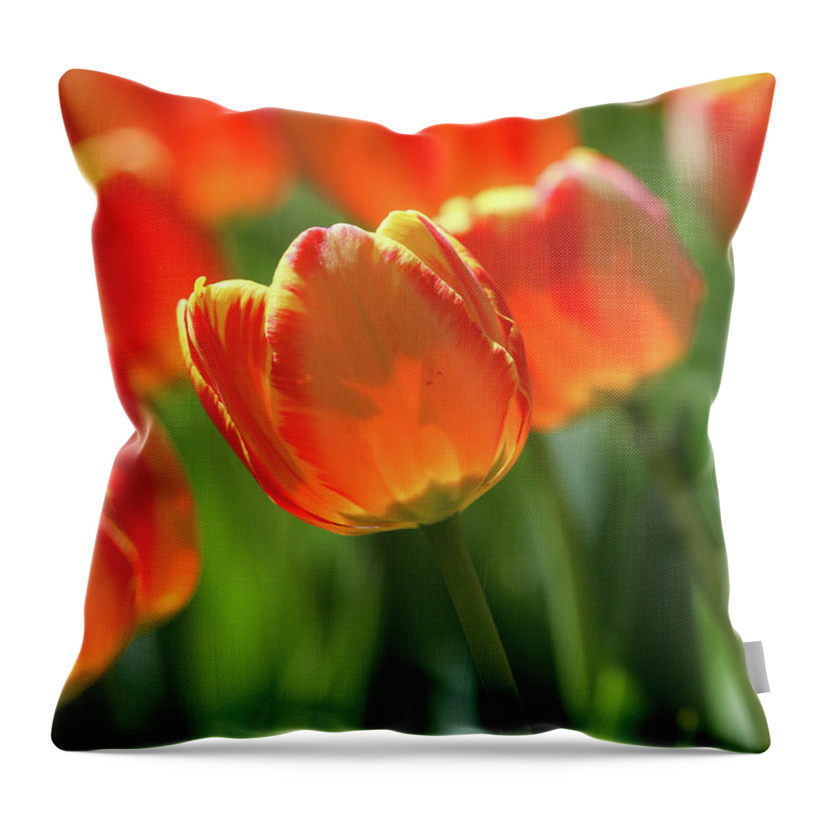 Tulip Throw Pillow featuring the photograph Hello Sunshine by Mary Anne Delgado