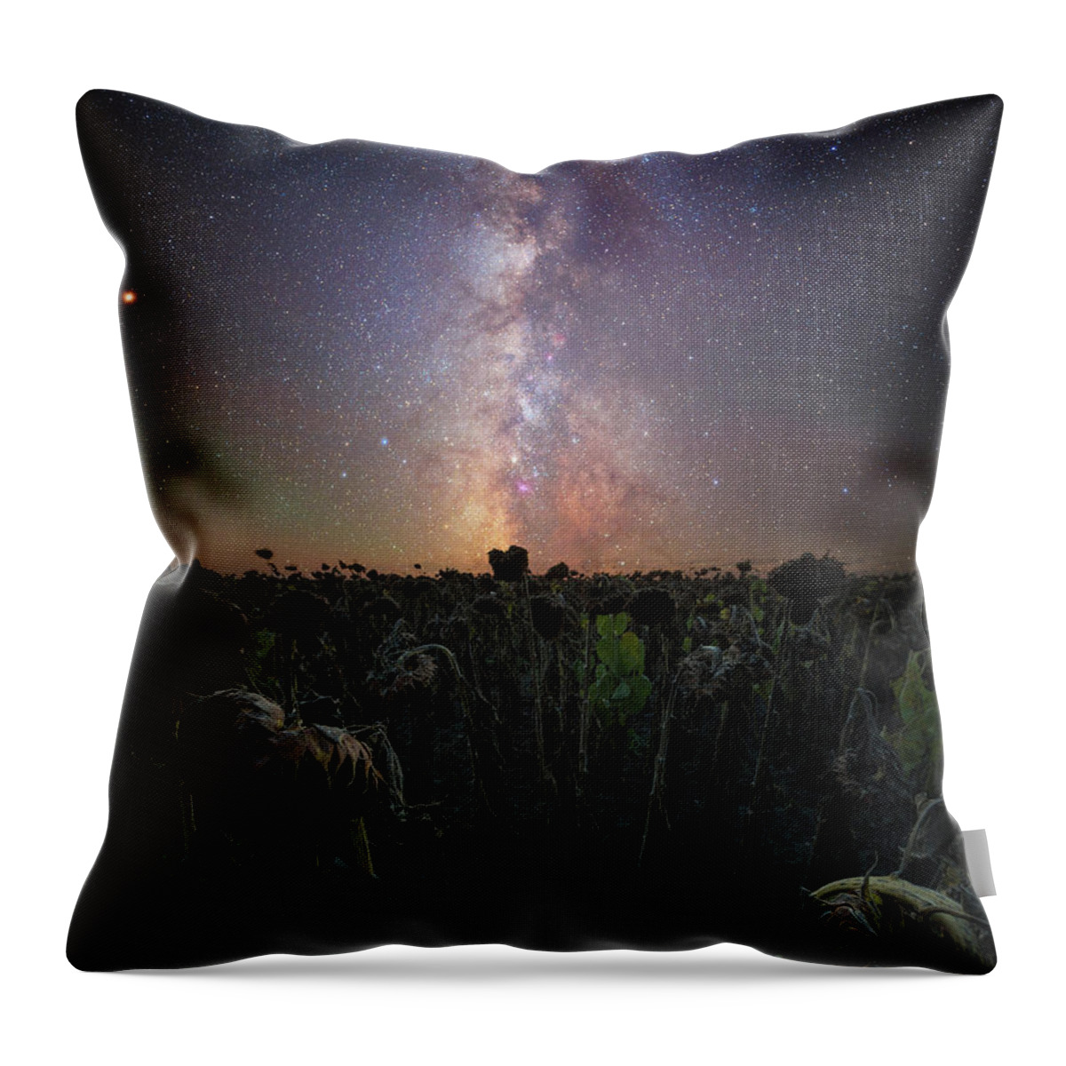 Milky Way Throw Pillow featuring the photograph Hello,My name is Human by Aaron J Groen