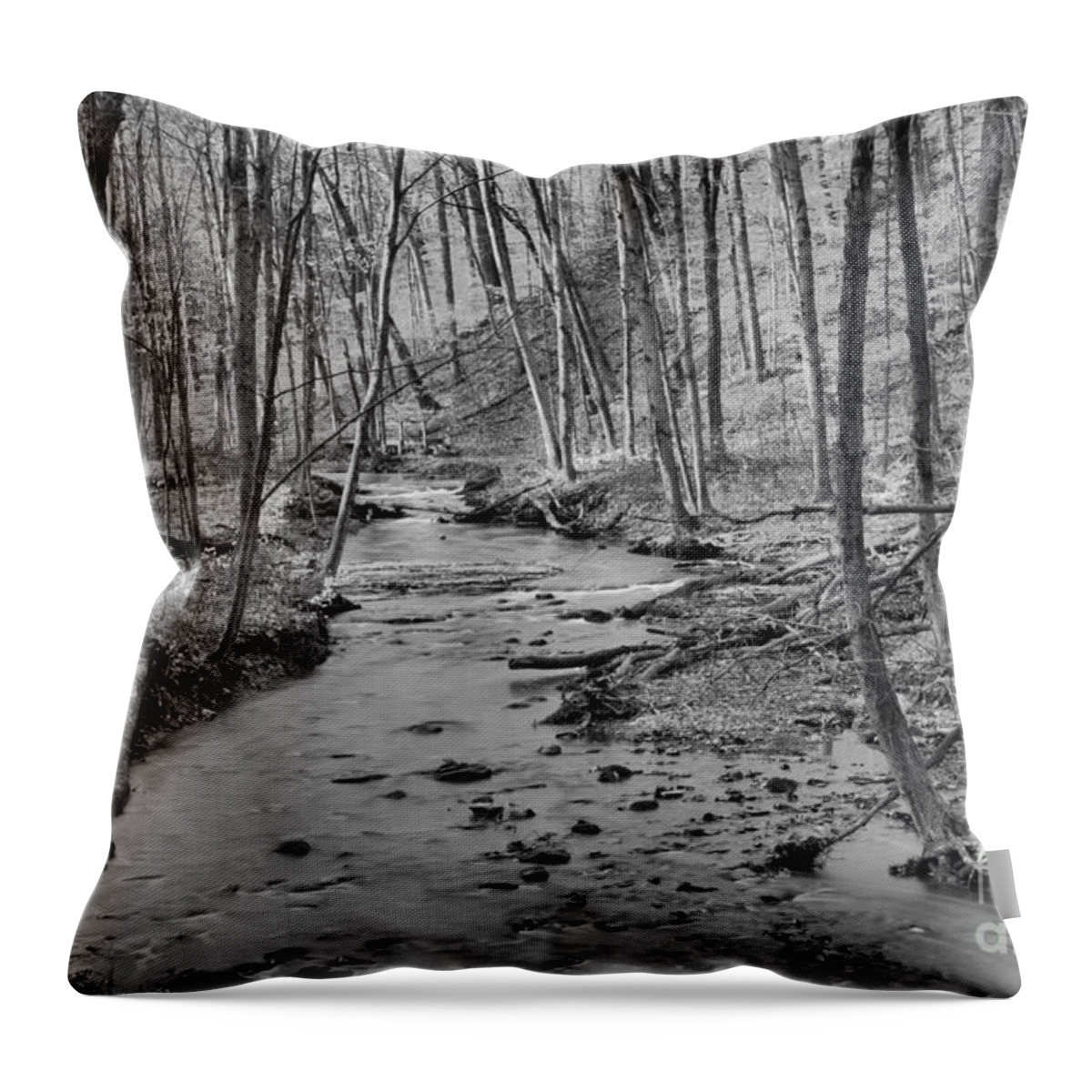 Hells Hollow Throw Pillow featuring the photograph Hells Hollow Fall Foliage Black And White by Adam Jewell