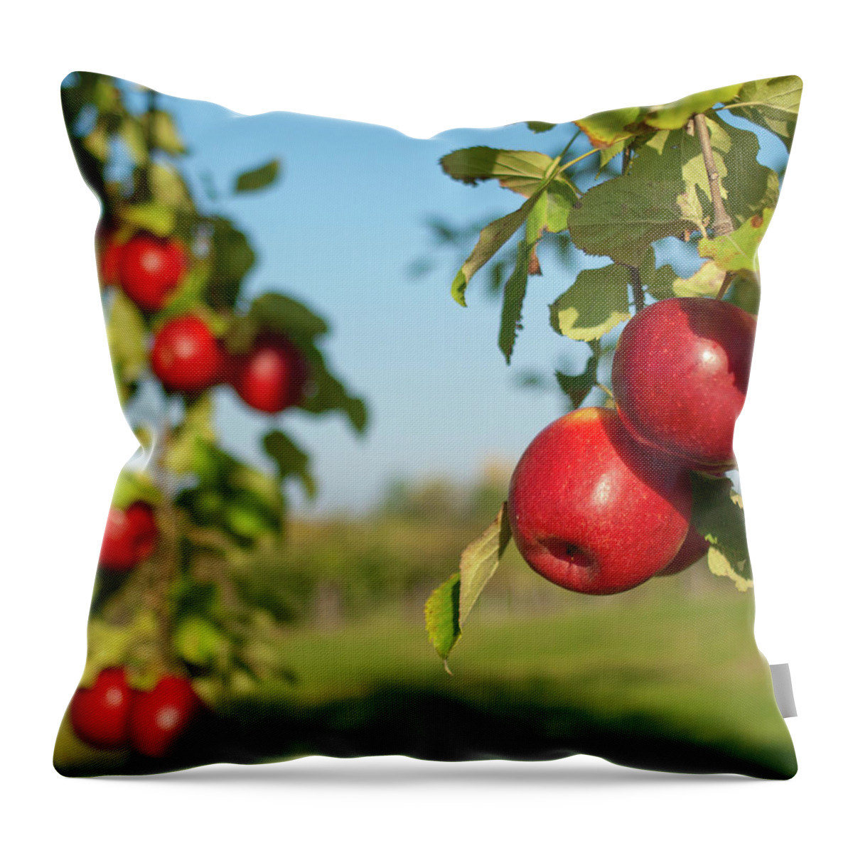 Hanging Throw Pillow featuring the photograph Herbstfarben by P a s m Photography