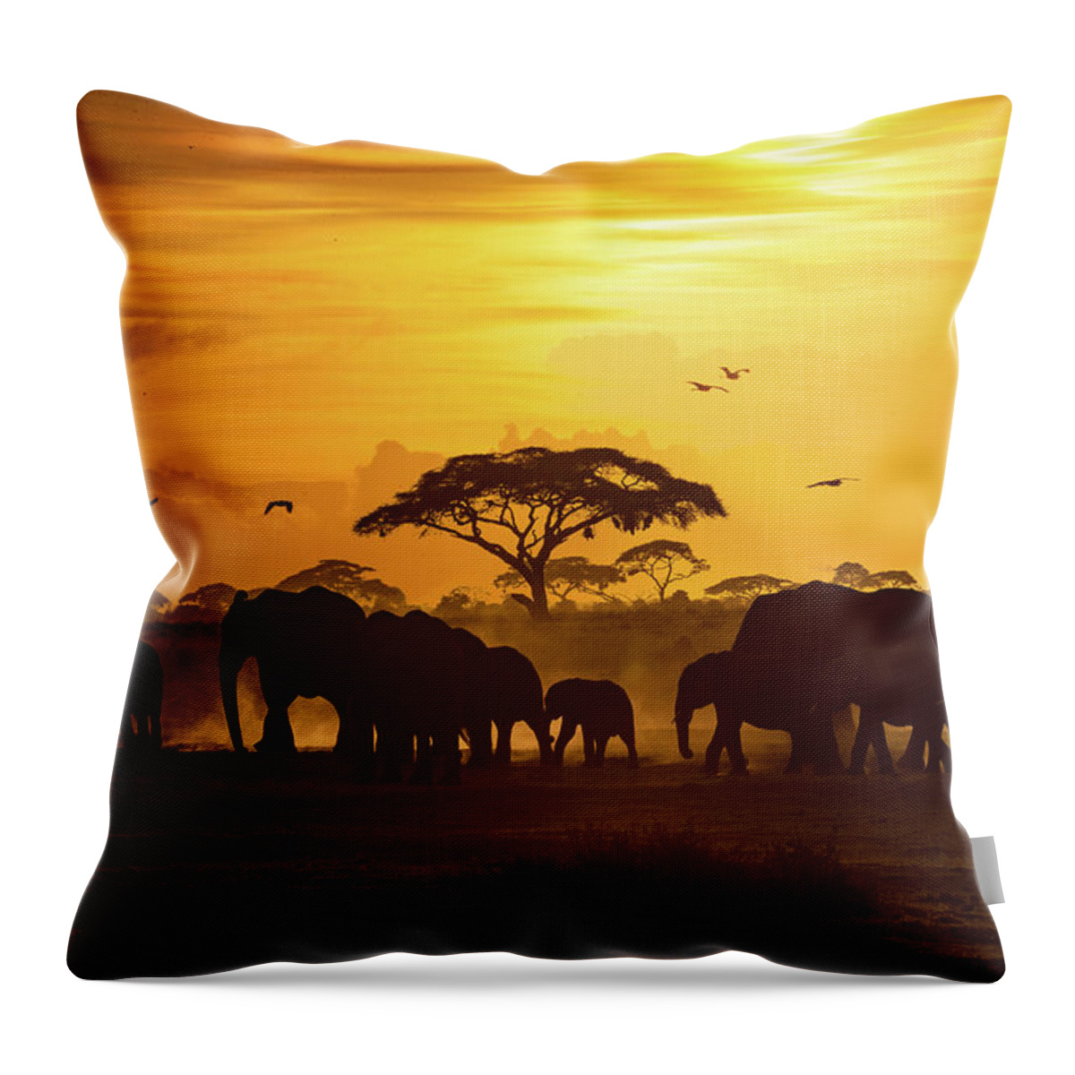 Elephant Throw Pillow featuring the photograph Sunset in Amboseli by Good Focused