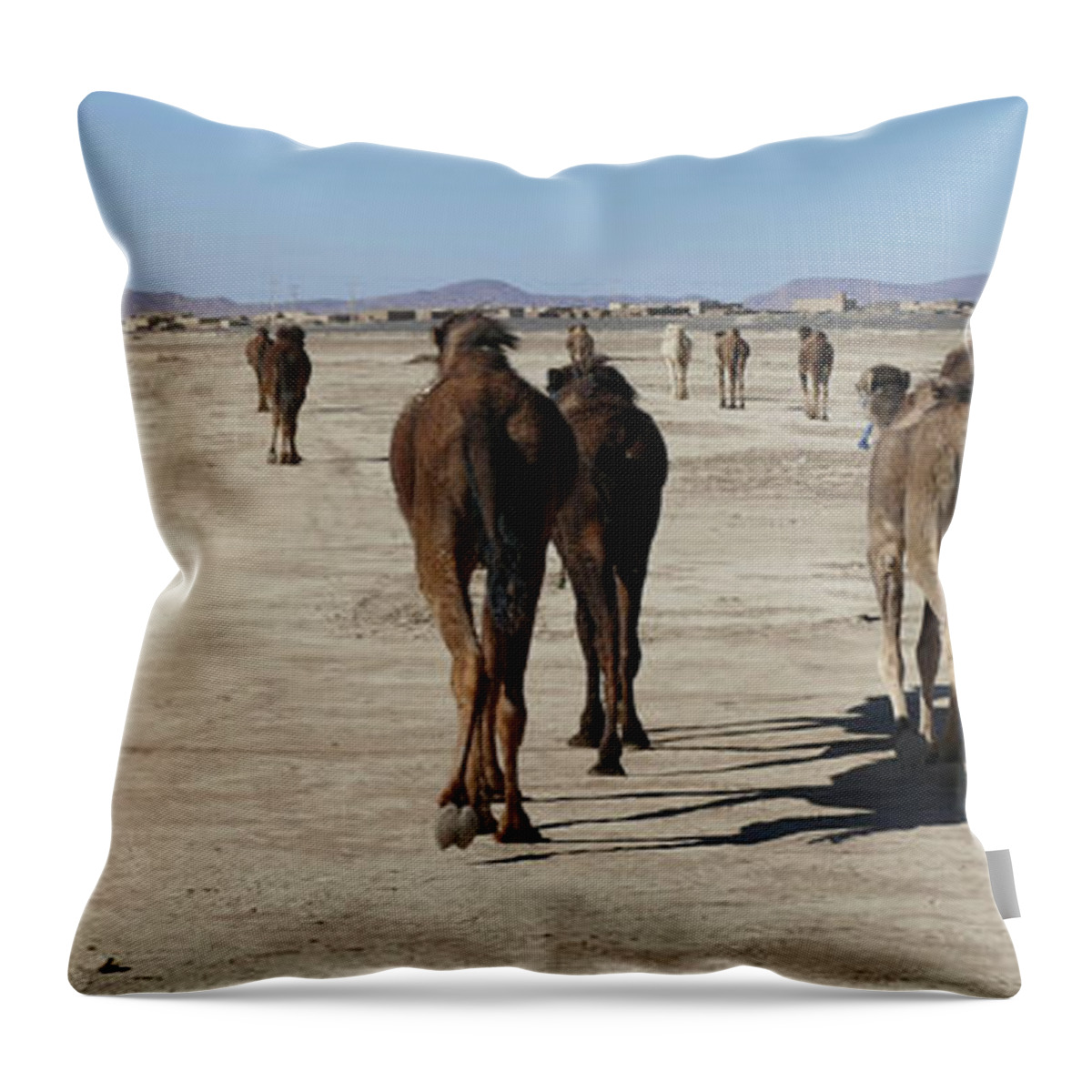 Morocco Throw Pillow featuring the photograph Herd of camels crossing the highway near Rissani by Steve Estvanik