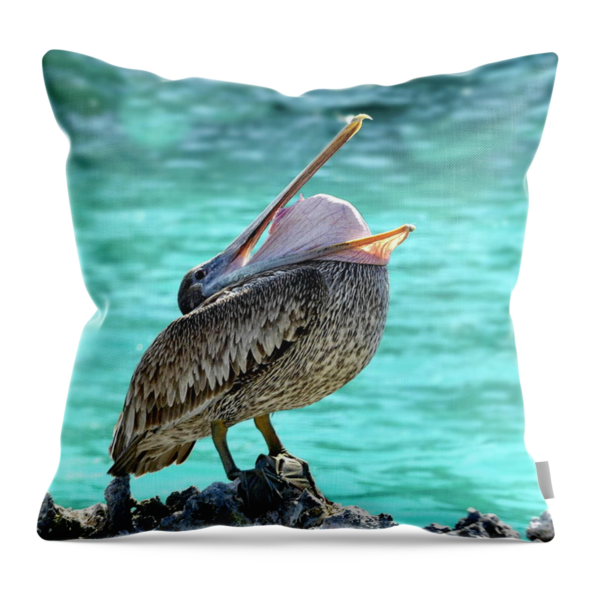 Pelican Throw Pillow featuring the photograph Here is a Trick by Lyuba Filatova