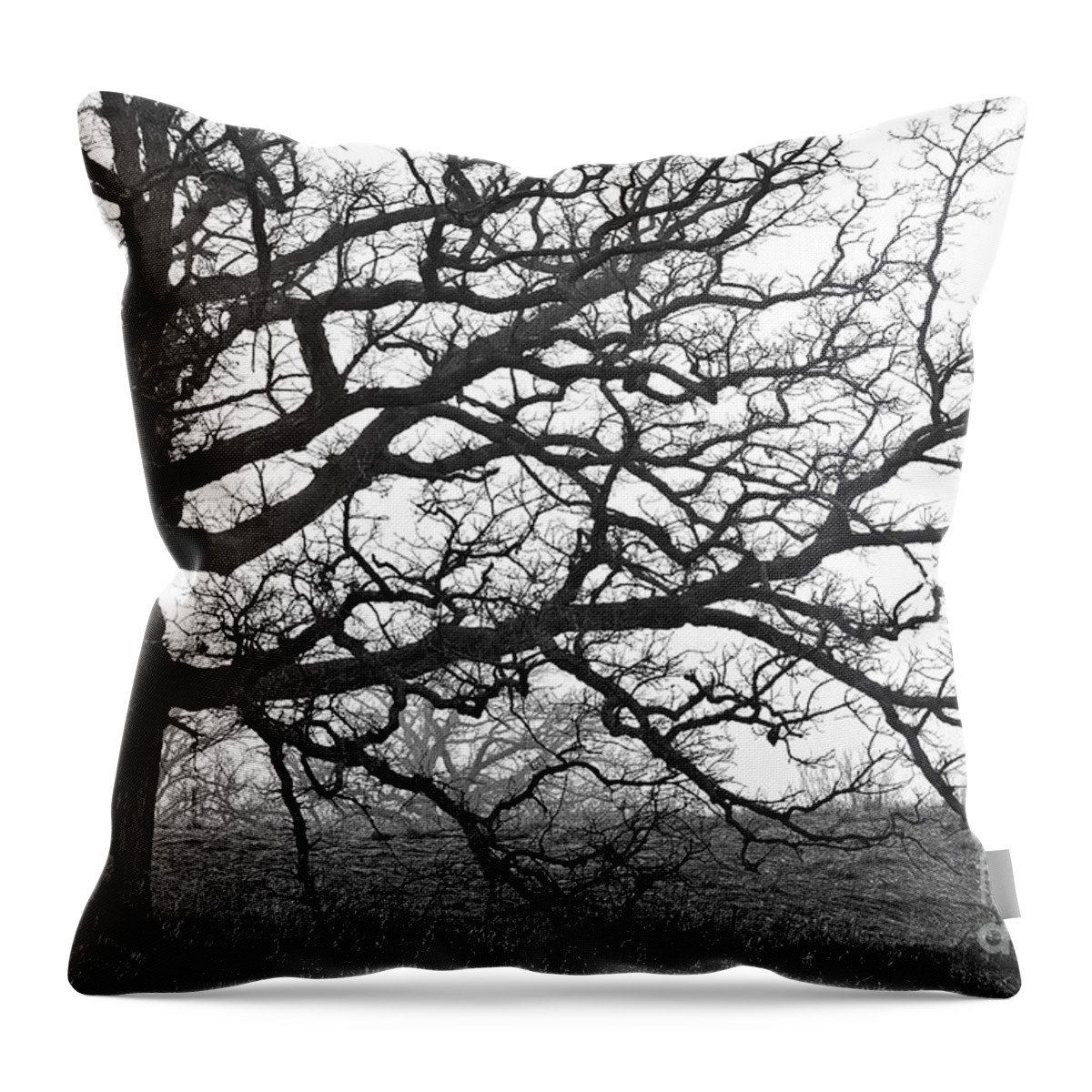 Grayscale Throw Pillow featuring the photograph Herman Munster's Back Yard by Billy Knight