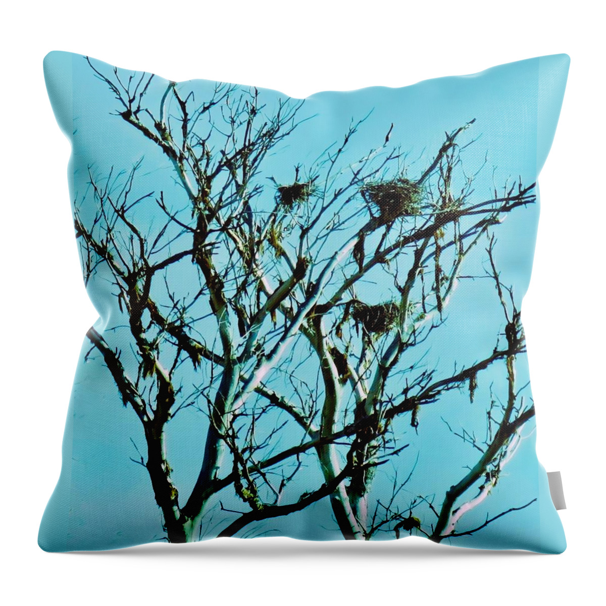 Arizona Throw Pillow featuring the photograph Heron Nests by Judy Kennedy