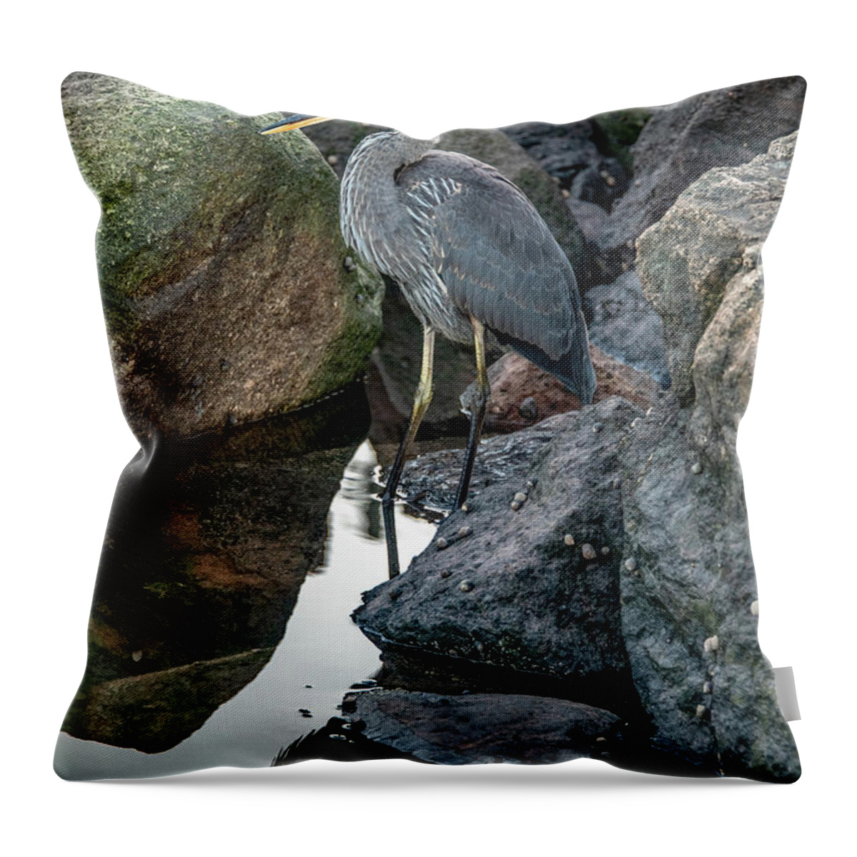 Great Blue Heron Throw Pillow featuring the photograph Heron Reflections, Vertical by Marcy Wielfaert
