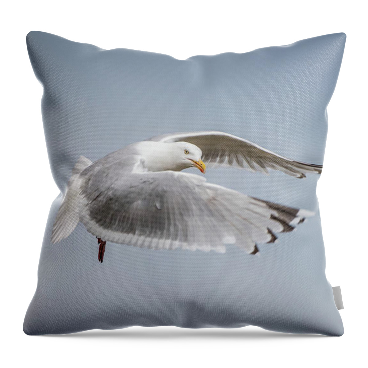 Herring Gull Throw Pillow featuring the photograph Herring Gull's flight by Torbjorn Swenelius