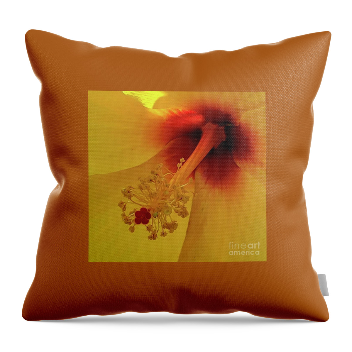 Flower Throw Pillow featuring the photograph Hibiscus by Anita Adams