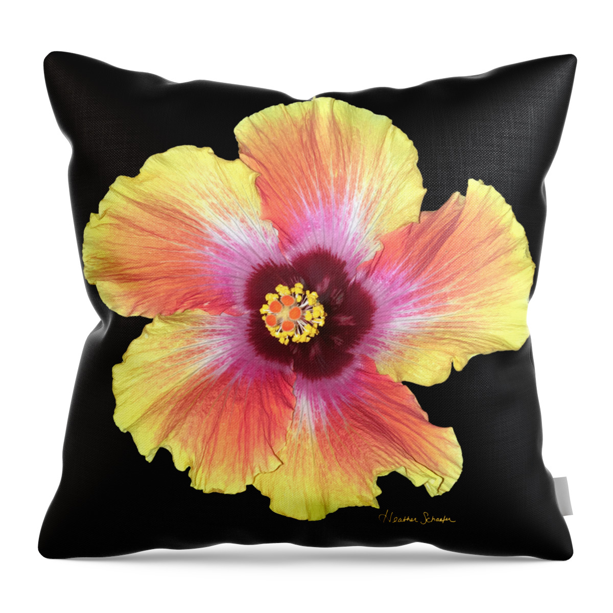 Hibiscus Throw Pillow featuring the photograph Hibiscus by Heather Schaefer