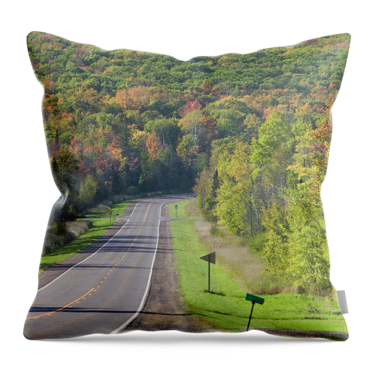 Estock Throw Pillow featuring the digital art Highway With Trees In Autumn by Walter Bibikow