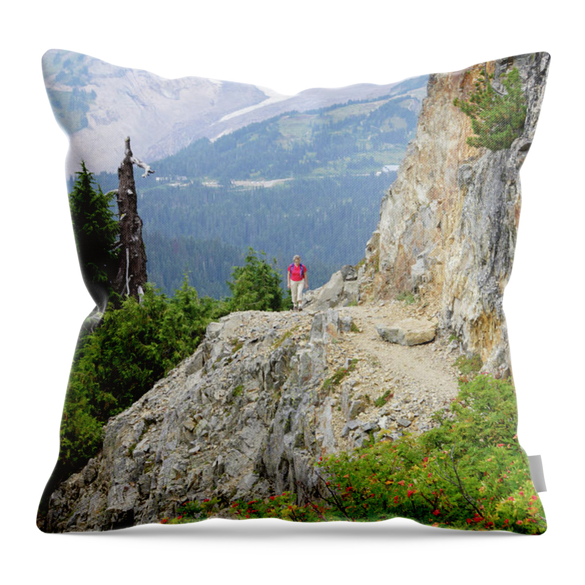 Mrnp Throw Pillow featuring the photograph Hiker on steep trail near Pinnacle Pass, Mount Rainier by Steve Estvanik