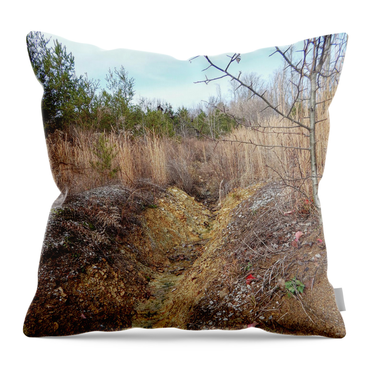 Hill Throw Pillow featuring the photograph Hillside Ravine by Phil Perkins